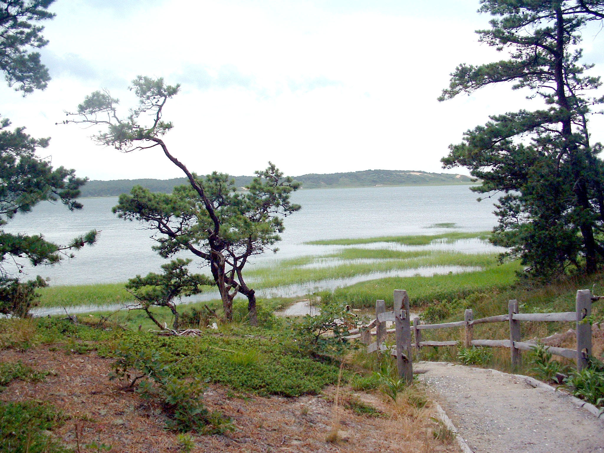 Cape Cod National Seashore.