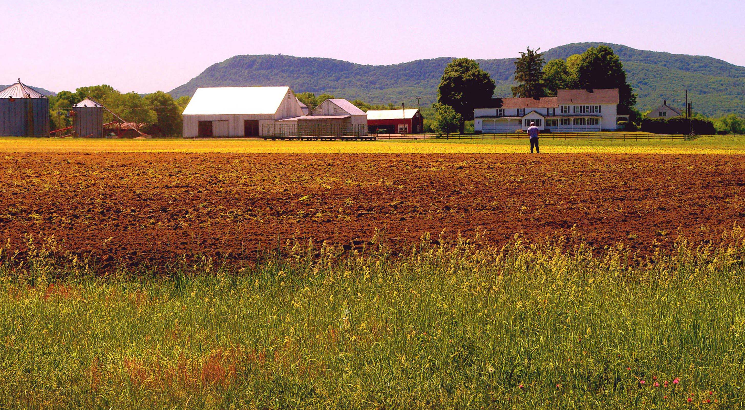 The Norwottuck Rail Trail cuts through some of the richest farm land of the Connecticut River Valley.