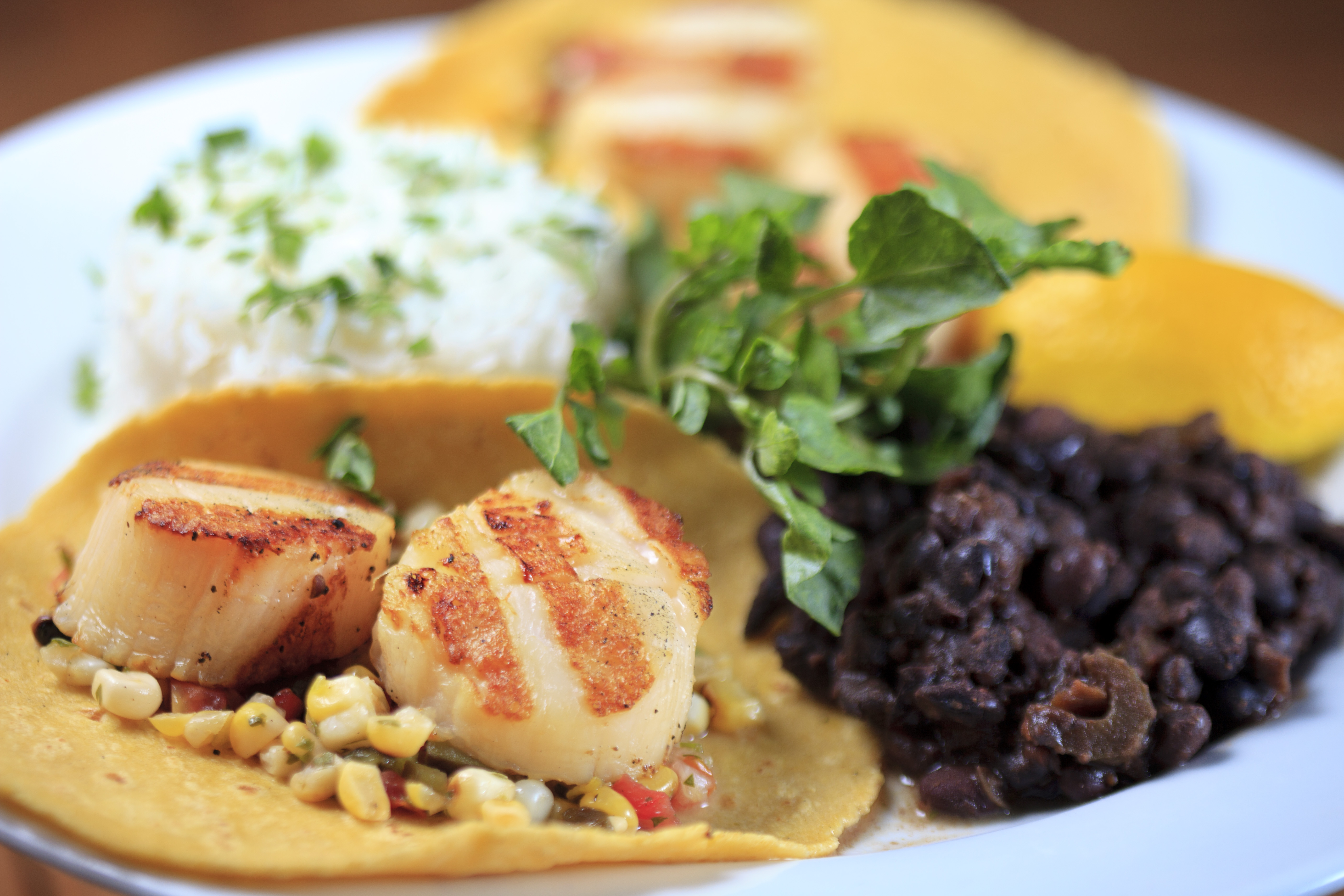 Grilled sea scallop tacos with grilled corn salsa, black beans, and rice.