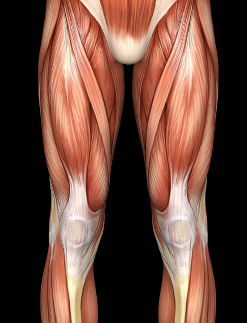 Grace’s quadriceps were weak, making it hard to stand up.