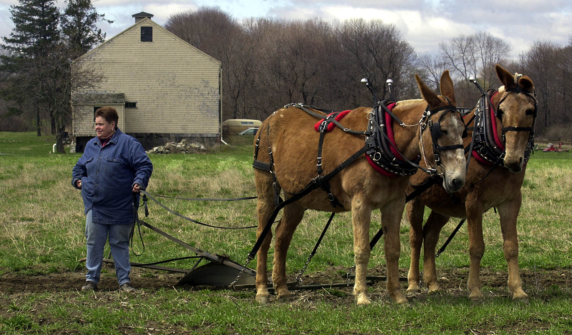 Spencer-Peirce-Little Farm in Newbury.