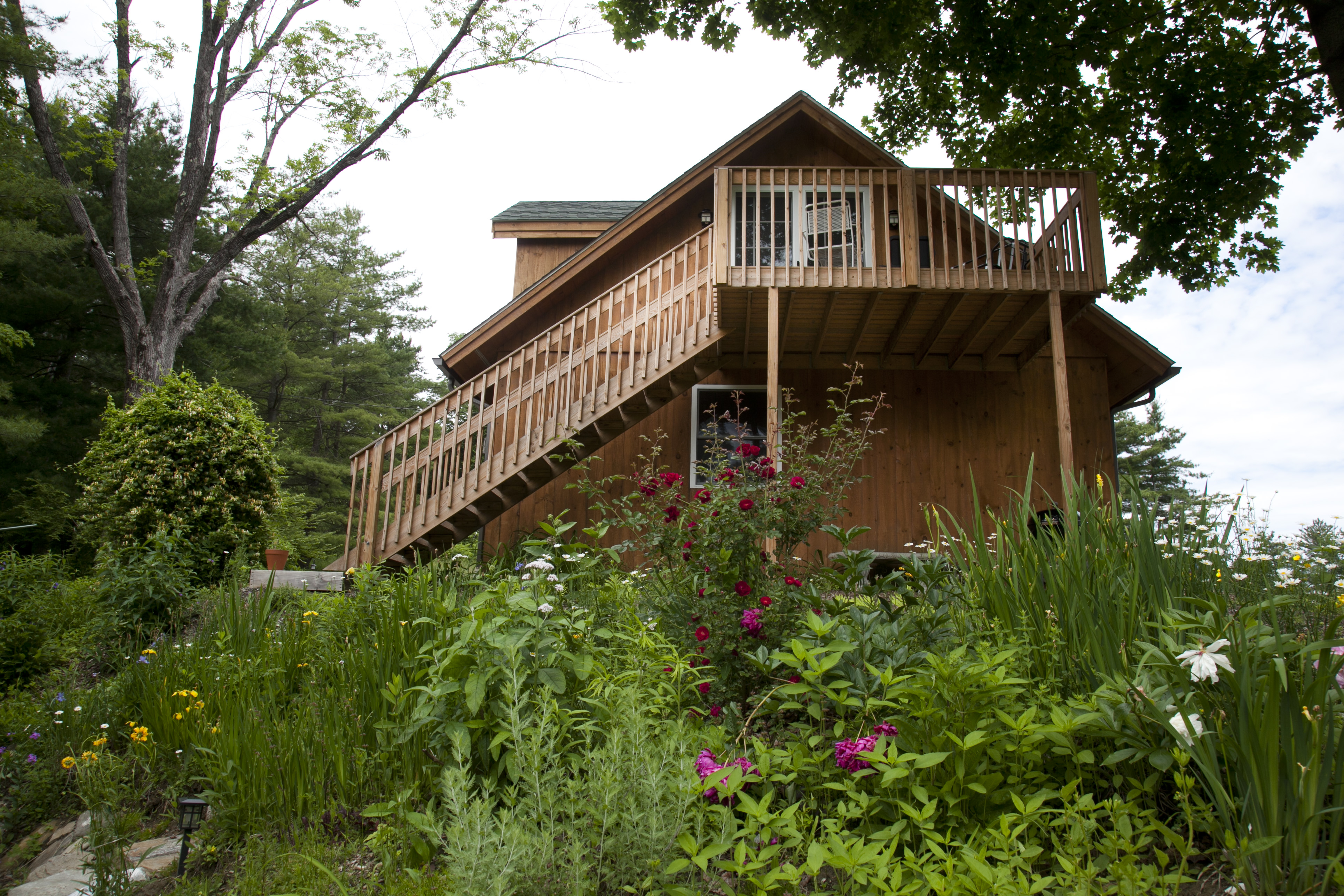 The Jonathan Doster Tree House