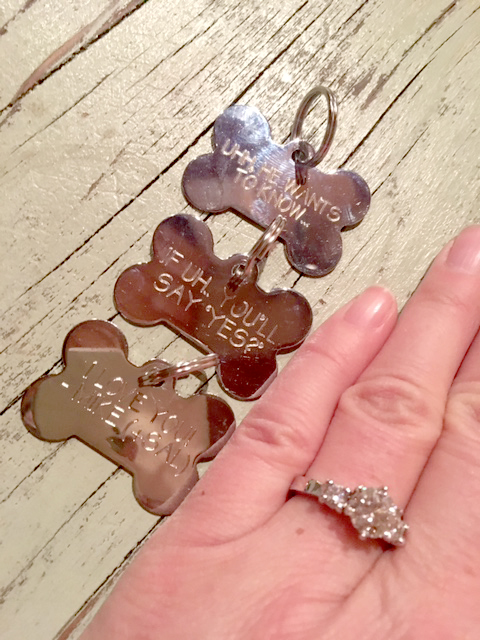 Mike Materia asked Roseann Sdoia to marry him by engraving a special message on their dog’s tags.