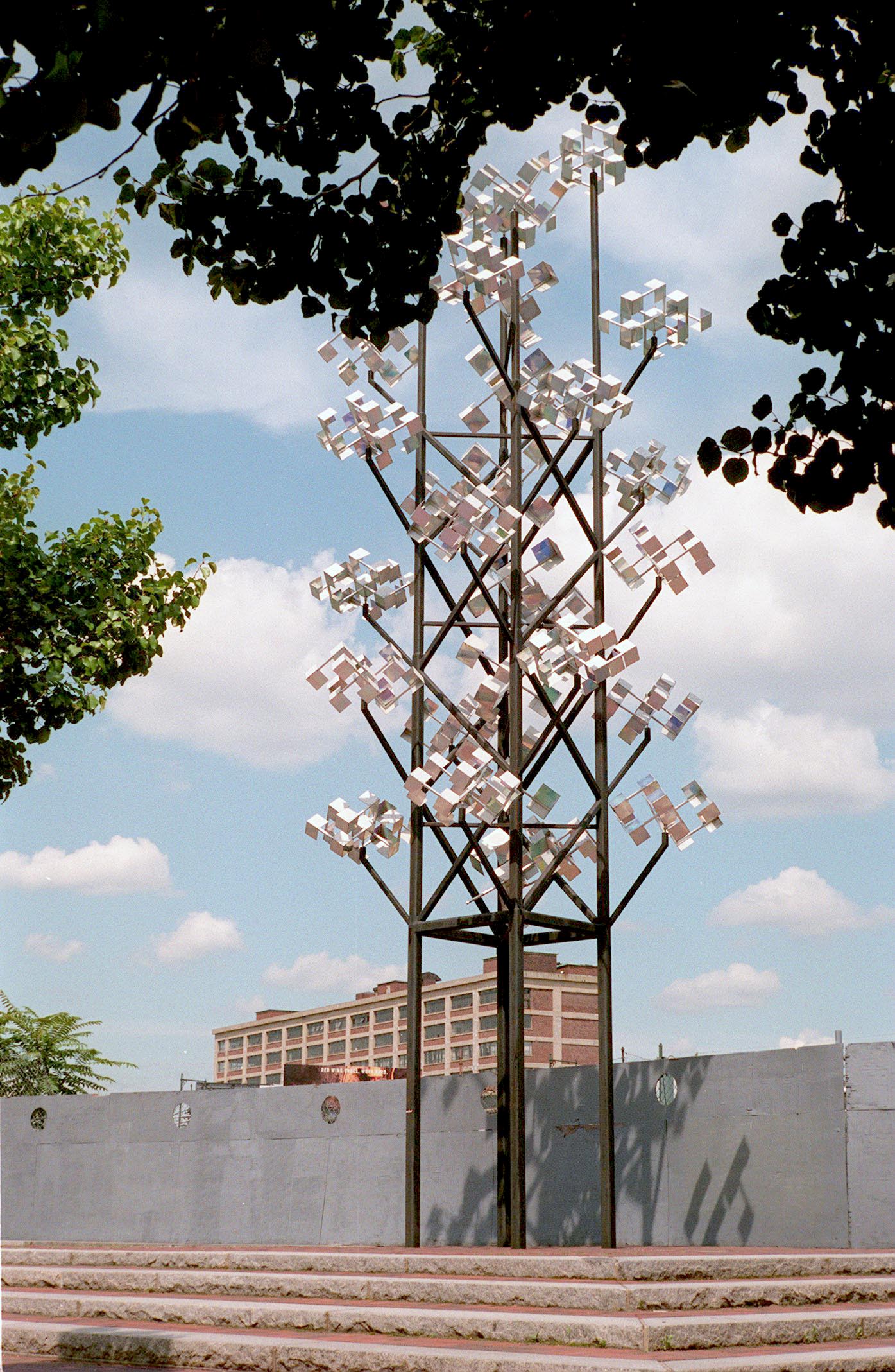 “Never Green Tree” was constructed at Lechmere Canal Park in Cambridge.