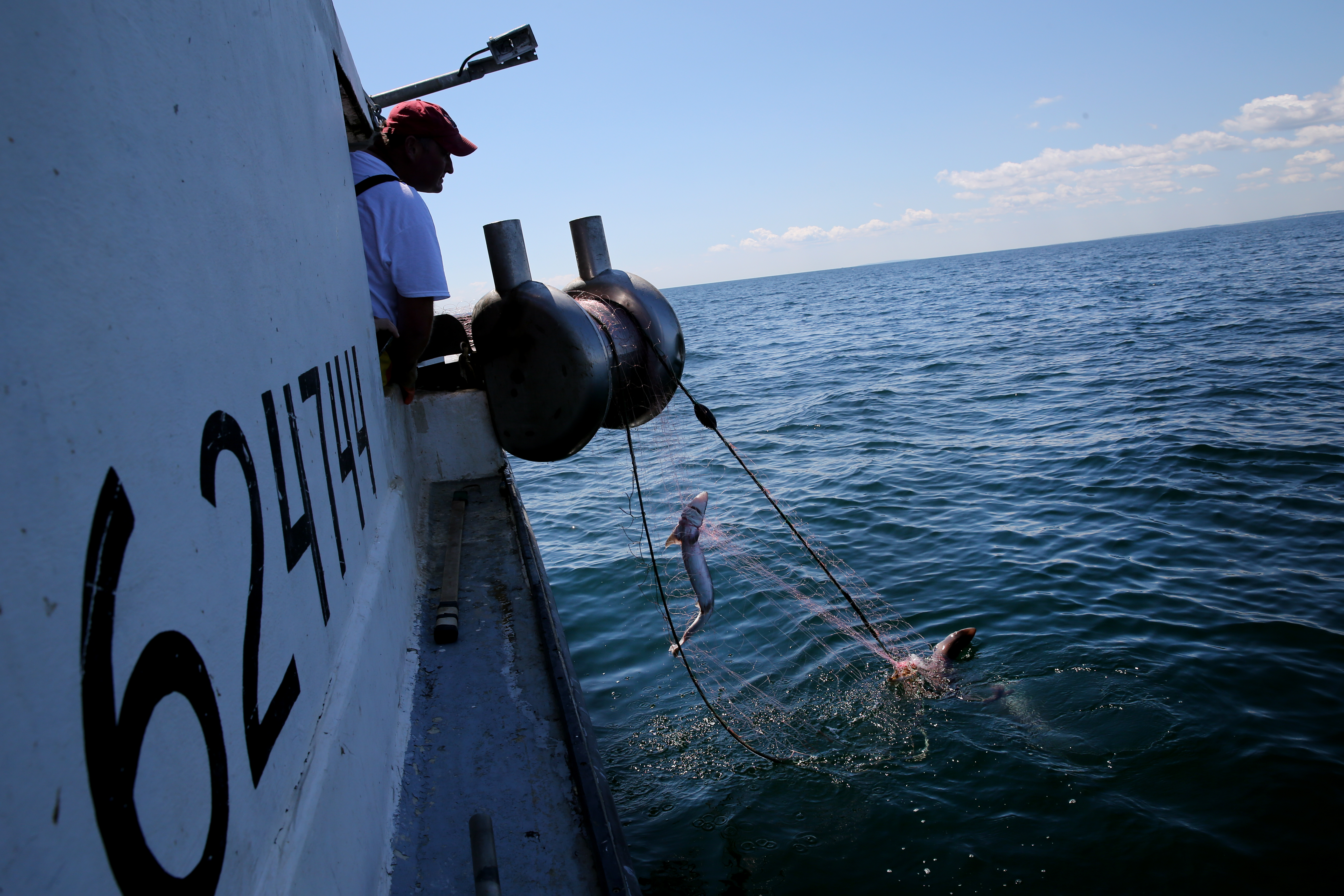 Captain Phil Lynch pulled in his gillnet while fishing for spiny dogfish during a training trip near Scituate.
