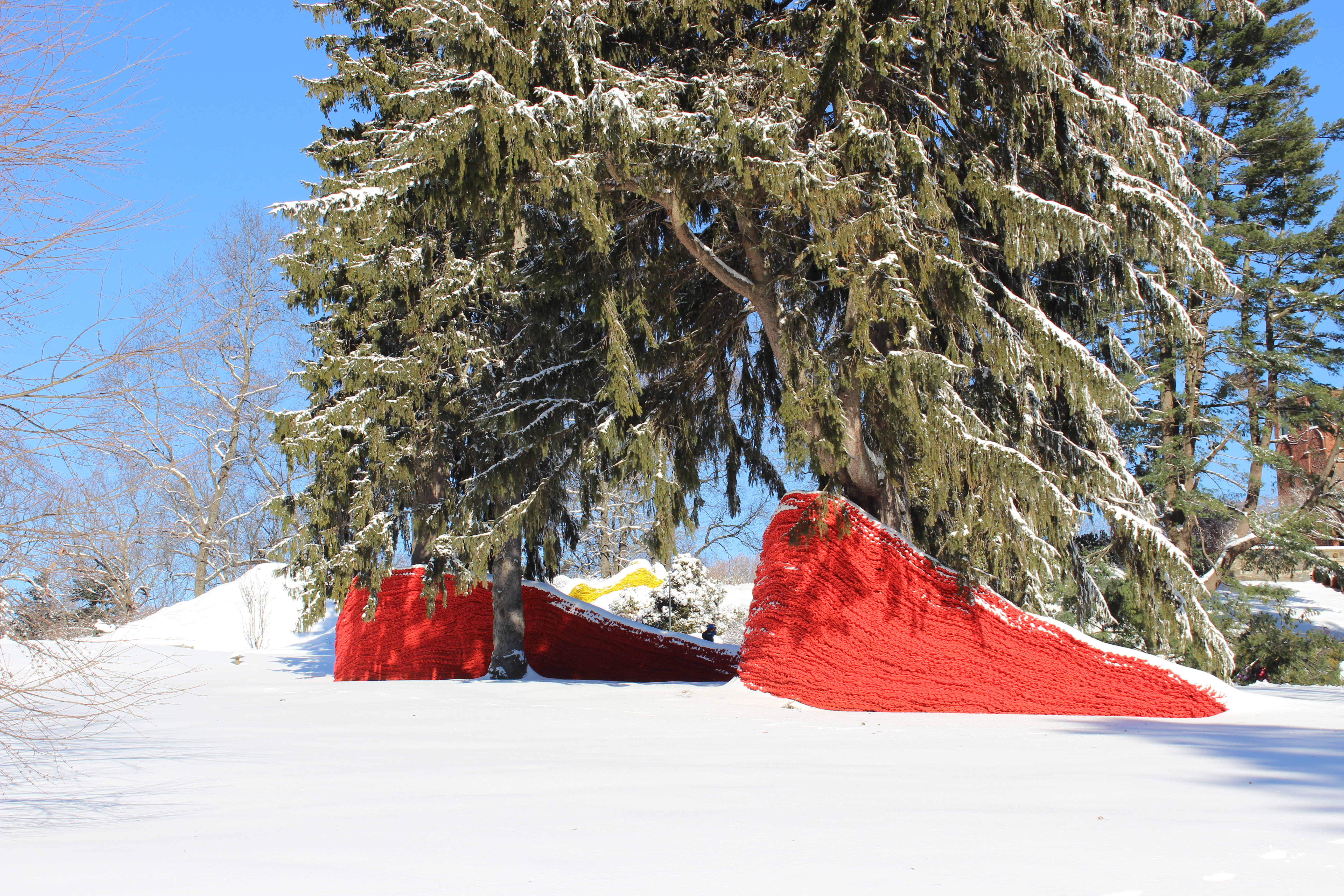 “Red, Yellow, and Blue” stands out with snow (pictured) or without.