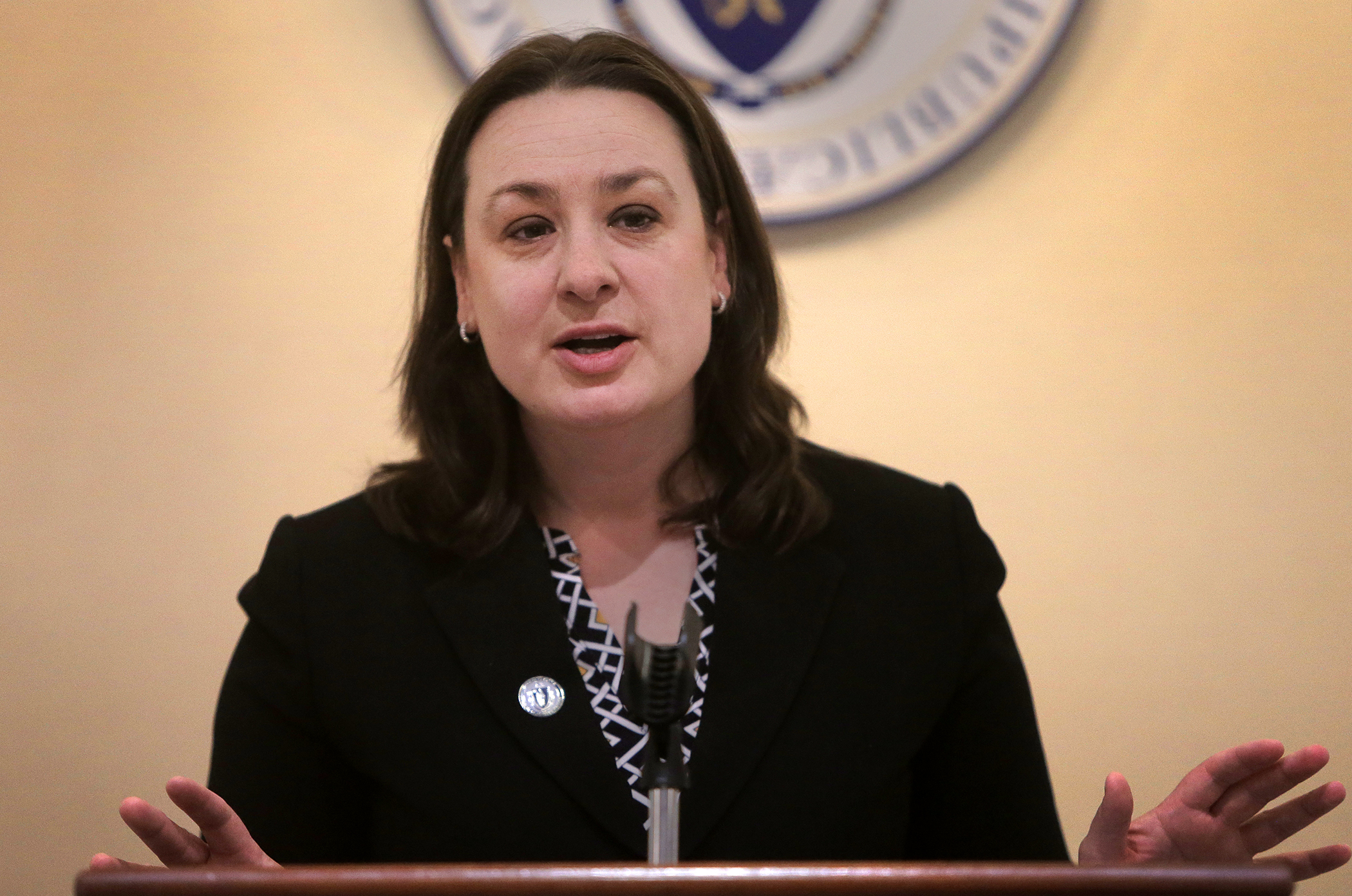 Representative Lindsay Sabadosa spoke at "lobby day" at the State House.