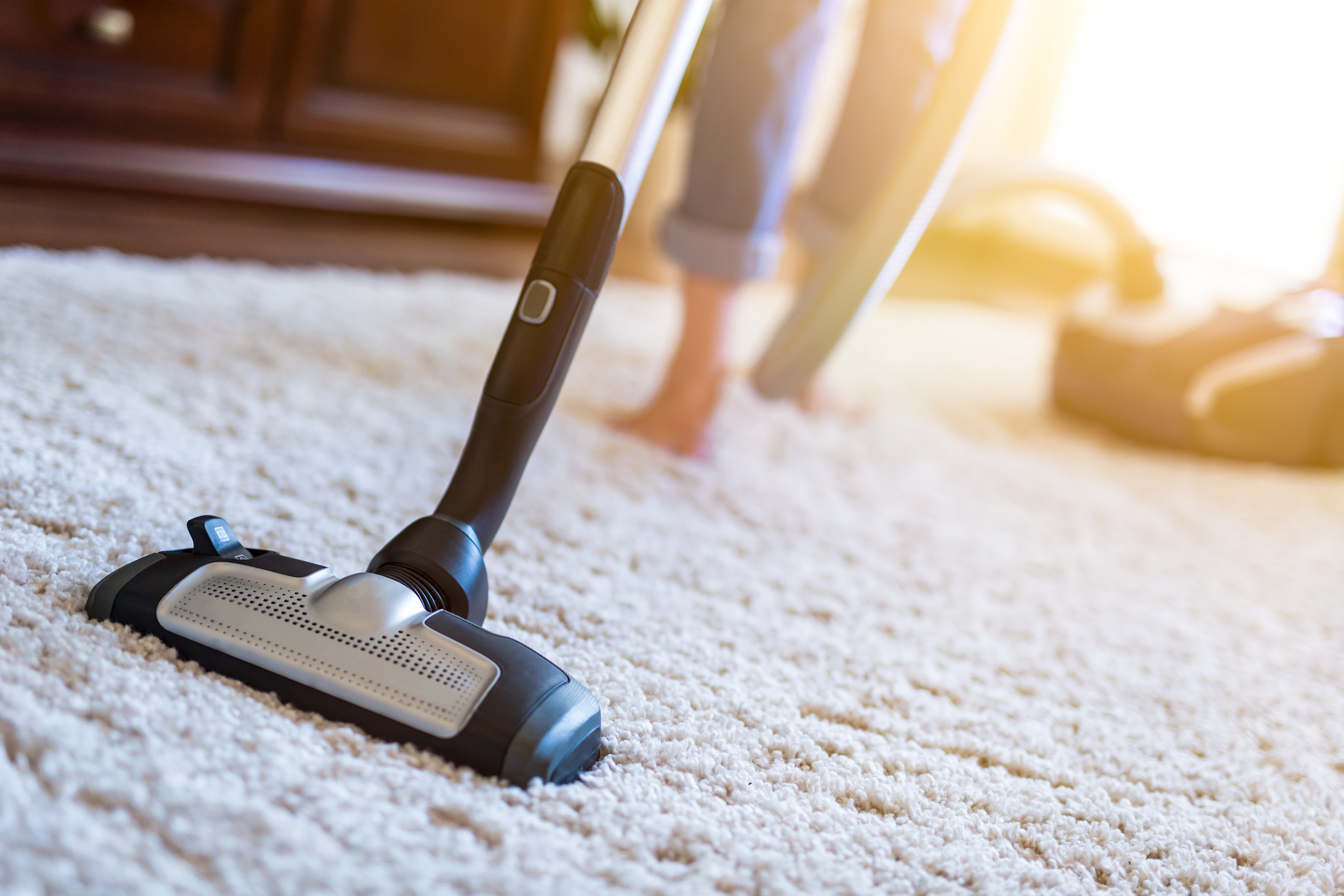 Carpet can offer refuge to dust mites, mold spores, and other particulates as time goes on.