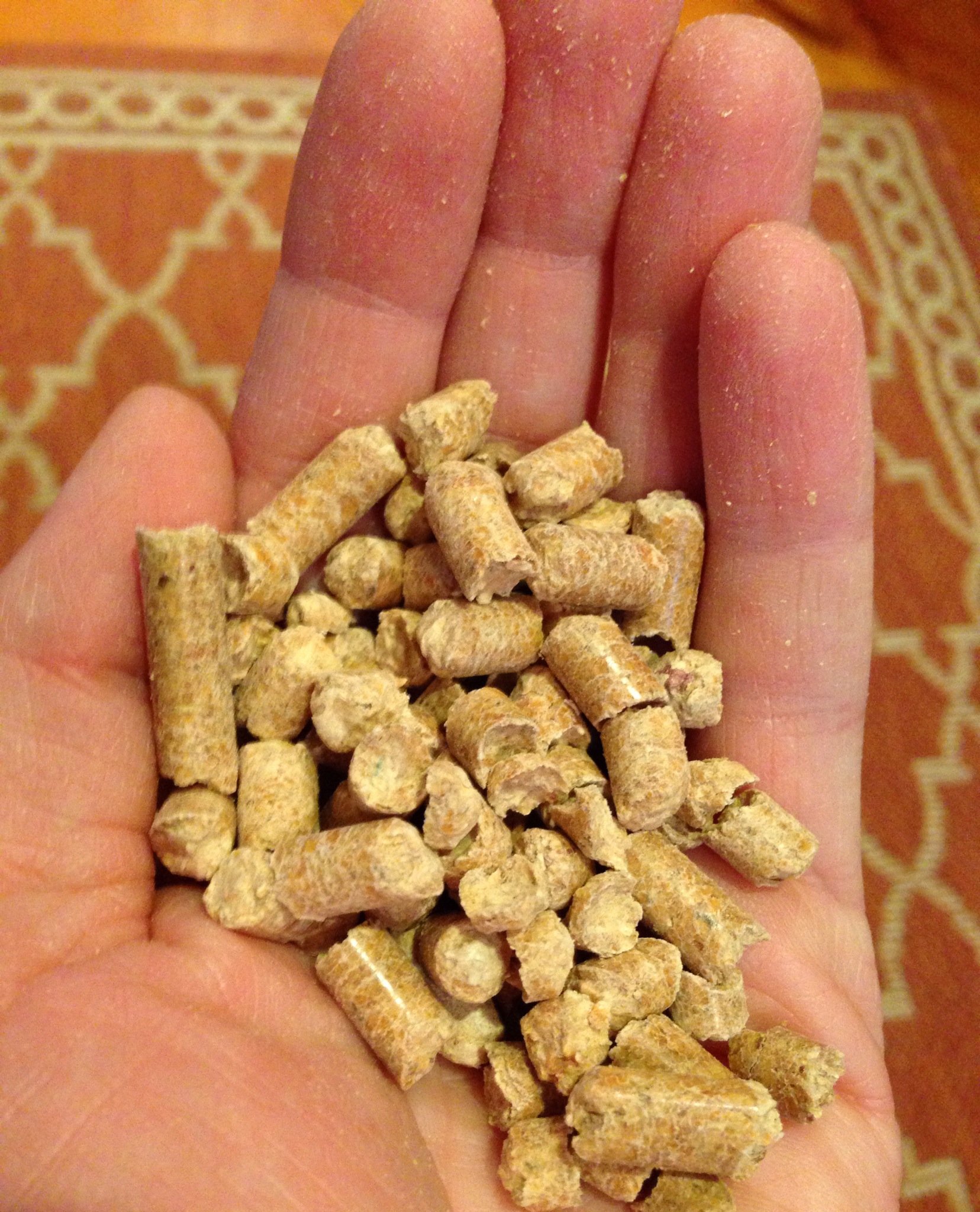 Pellet stove savings will warm your heart The Boston Globe