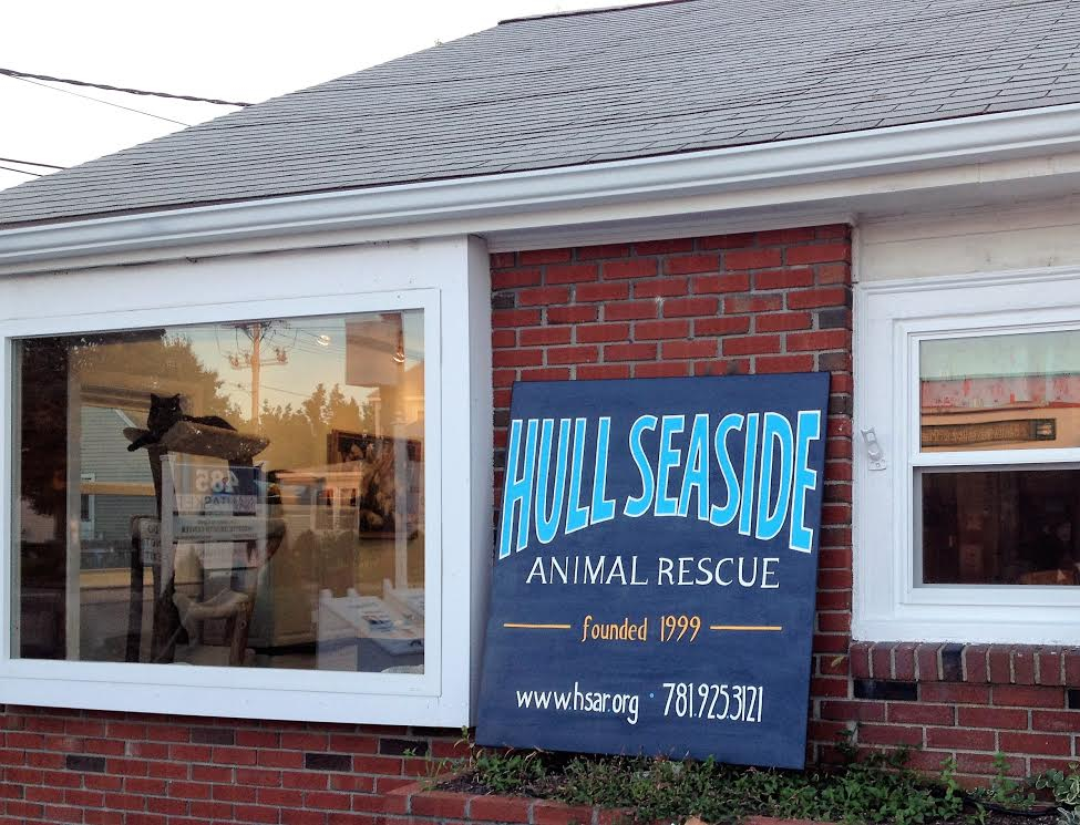 Openings, closings, and more in the south suburbs The Boston Globe