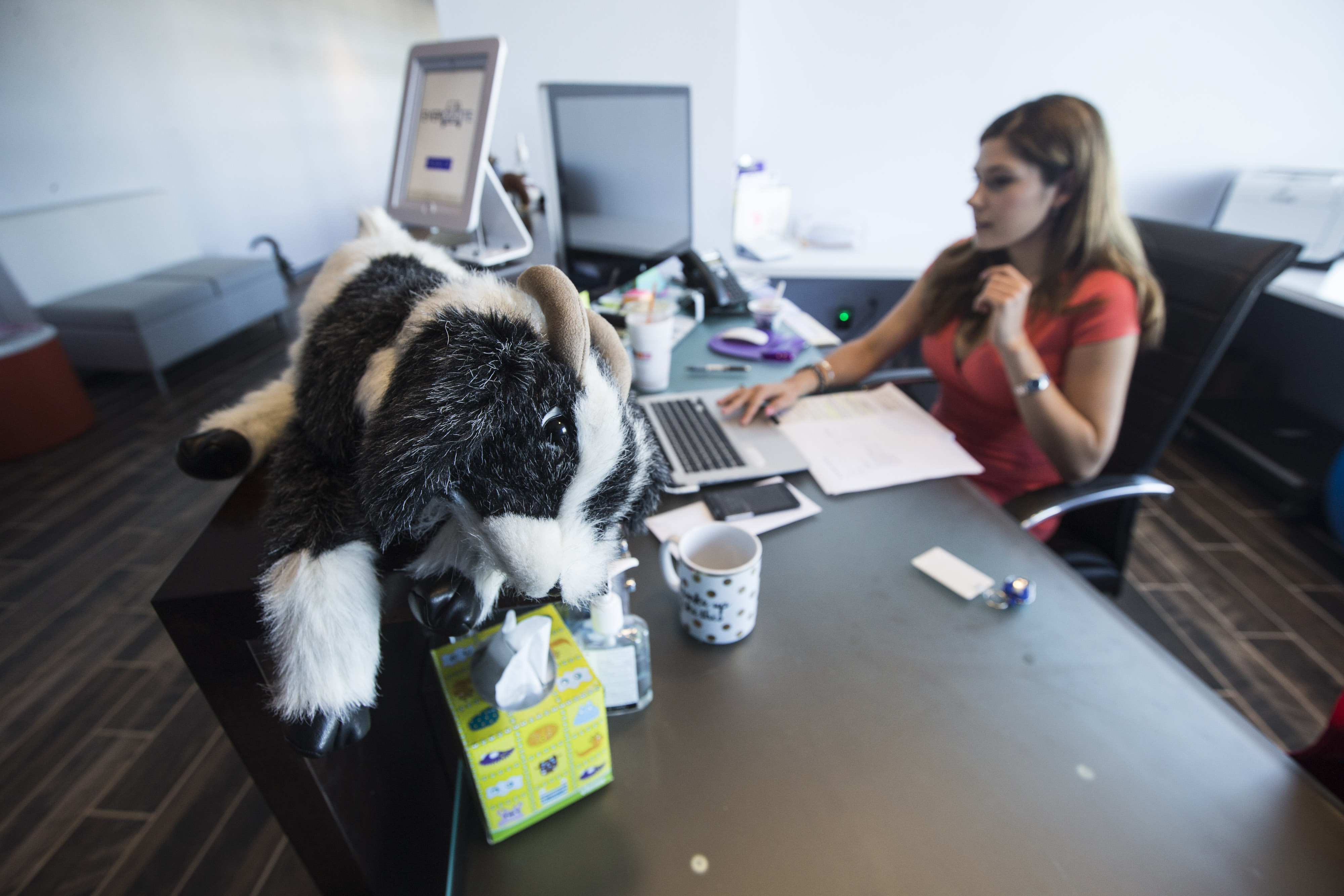 Each month at EverQuote in Cambridge an exemplary employee is named “Goat of the Month” and given a small stuffed goat in recognition of his or her accomplishments.