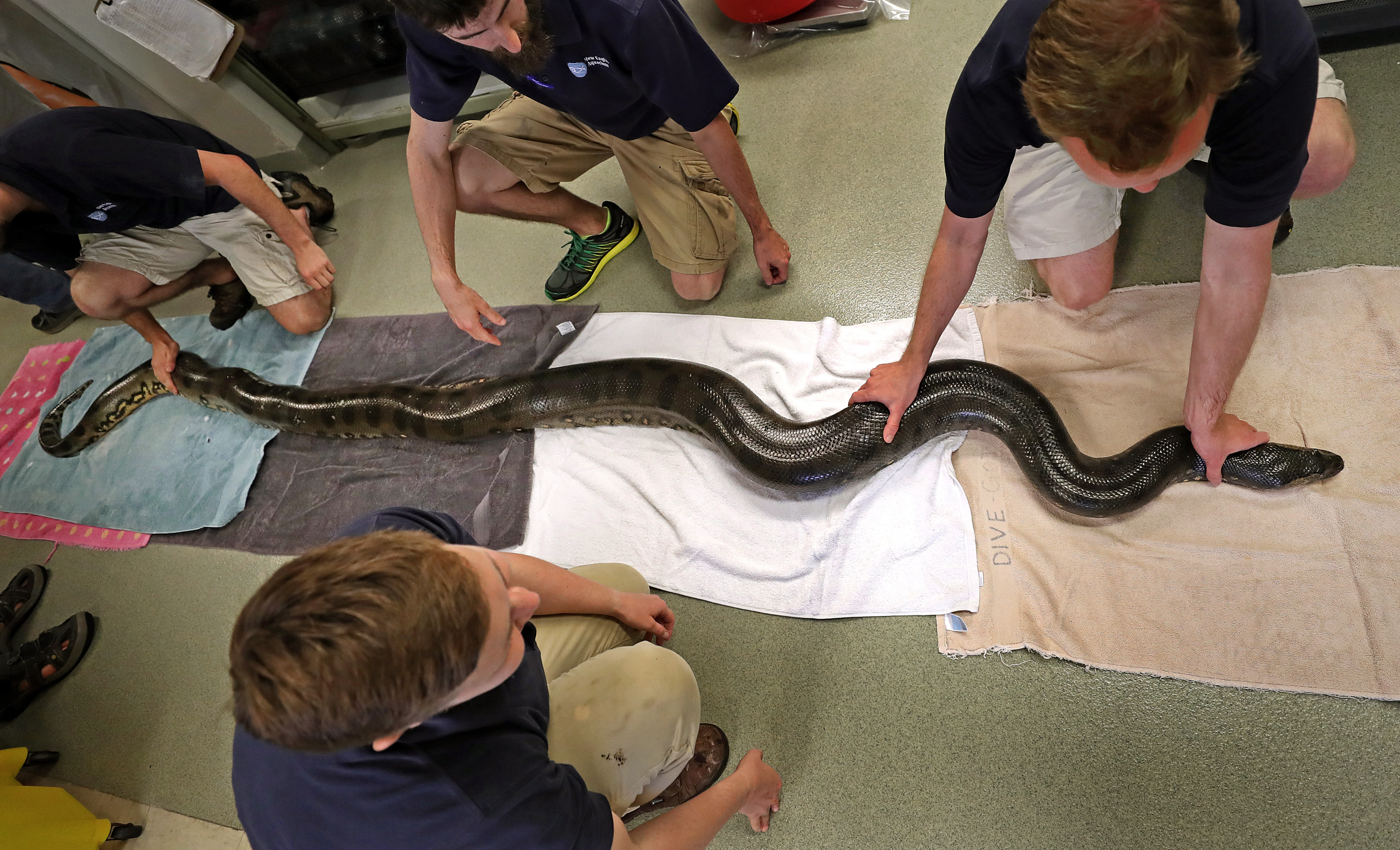 Kathleen was laid out on the floor for measurement and examination.