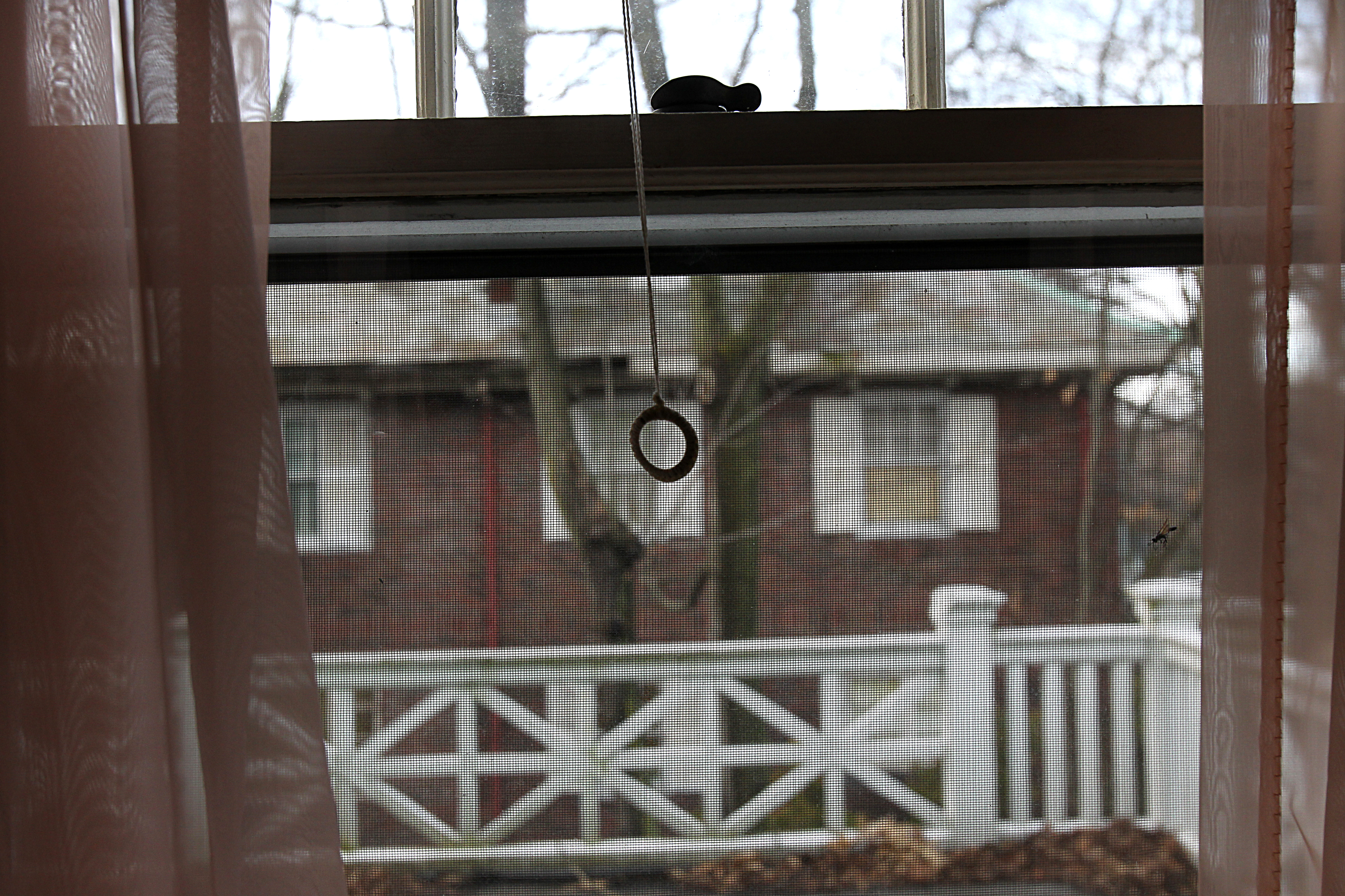 The home on Clinton Road as viewed from the upstairs window of the home next door belonging to Harriet Allen.
