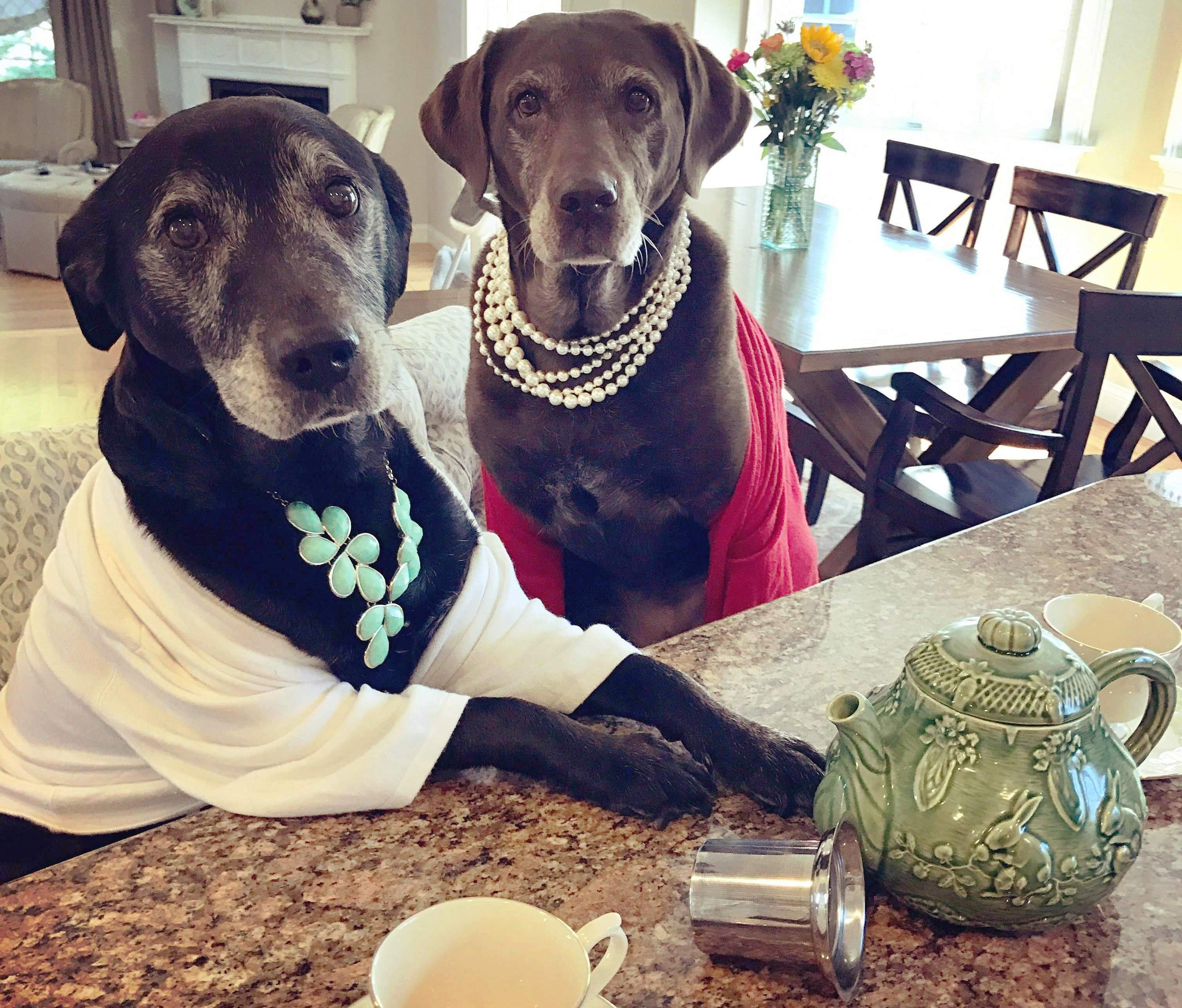 Abuela, 15 (left) with potential prom queen Nana, 13, in their North Reading home.