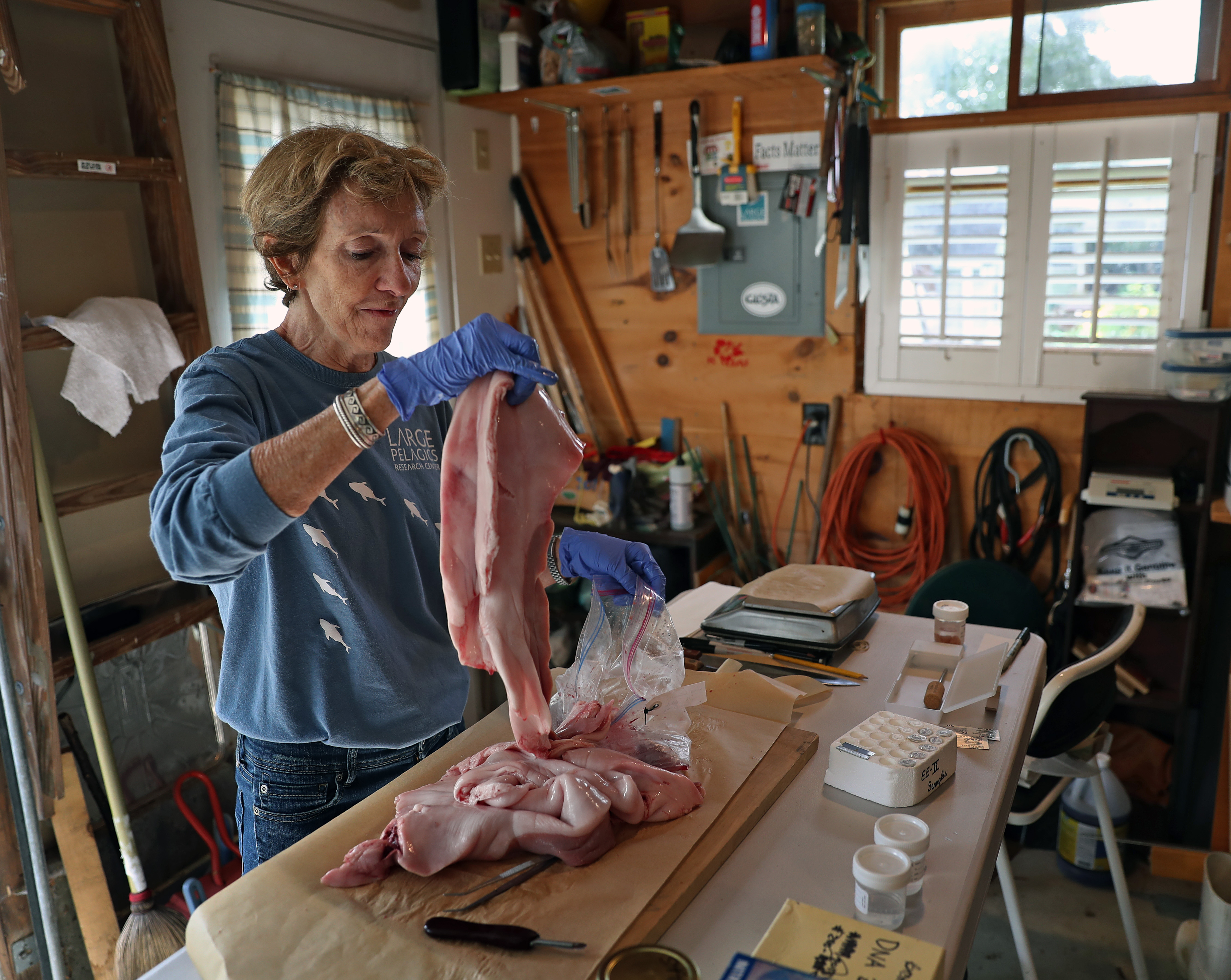 Molly Lutcavage says her belief that the tuna population is healthier than it is portrayed has not made her a popular candidate for funding from environmental groups.