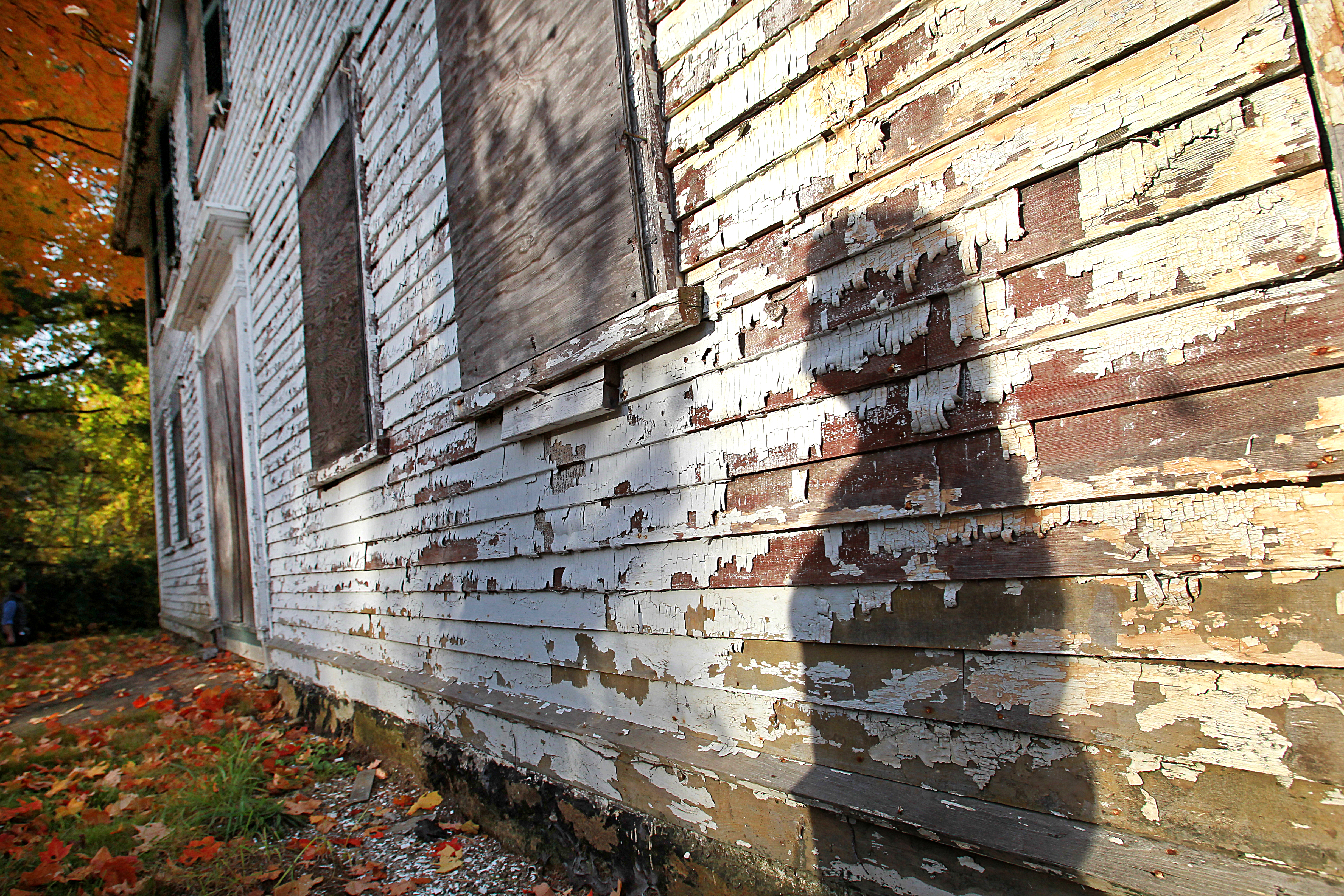 The house needs a lot of work — possibly as much as $1 million worth.