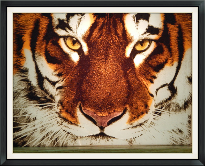 13madeinne - ***warning: image lo res, do not use for more than 2 columns *** - Can you believe this is glass? Self-taught glass artist Eric Schwartz can turn a treasured photo into a piece of glass art. (handout)
