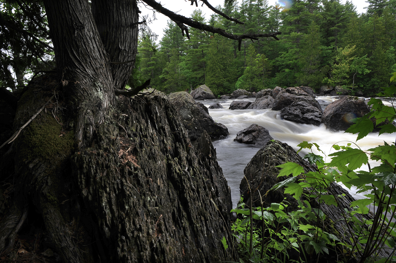 The East Branch of the Penobscot River flows through Haskell Rock Pitch.