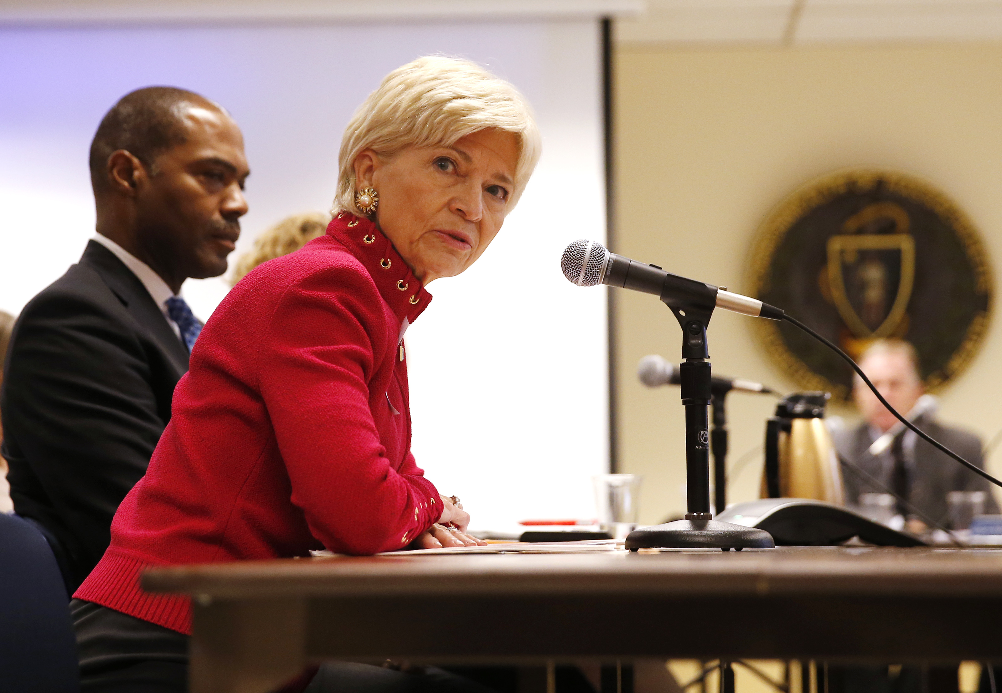 Sandra L. Fenwick, president and CEO of Boston Children's Hospital, addressed board members as she asked for approval for a $1 billion expansion in Boston.