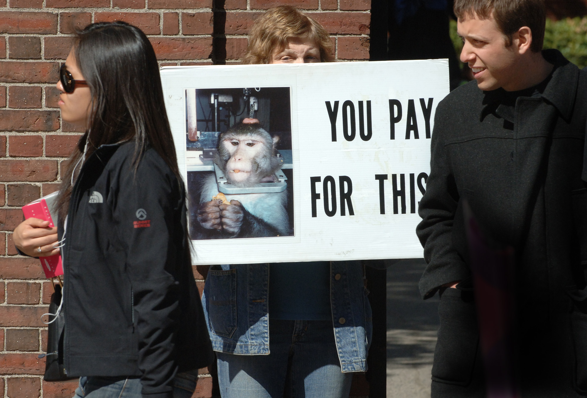 Members of the Massachusetts Animal Rights Coalition protested Harvard’s use of monkeys in research.