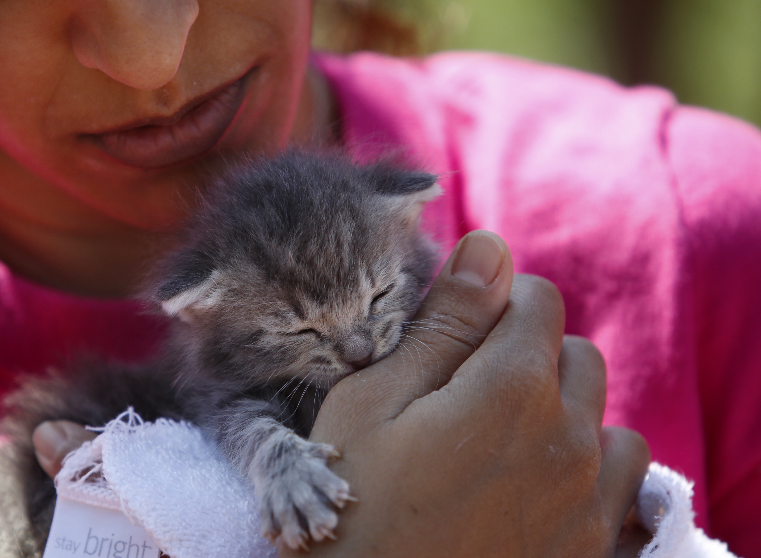Mithu Lahiri of Jamaica Plain held a two-week-old kitten up for adoption who she and her sister hope to claim during the first Caturday gathering of cats, their owners, and cat lovers on Boston Common.