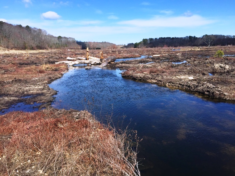 The same location at Tidmarsh East during wetland restoration work.