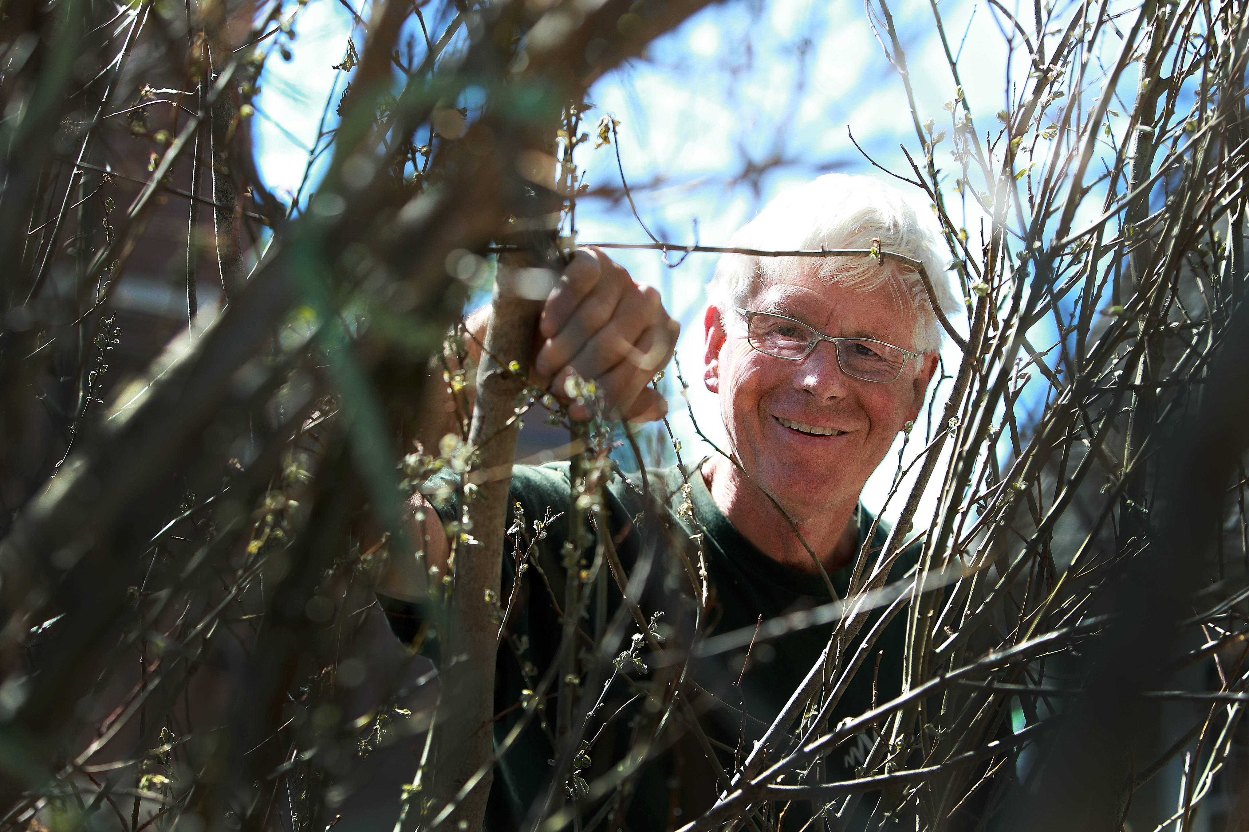 Patrick Doughterty peered through a section of his outdoor sculpture he and volunteers have built in Salem.