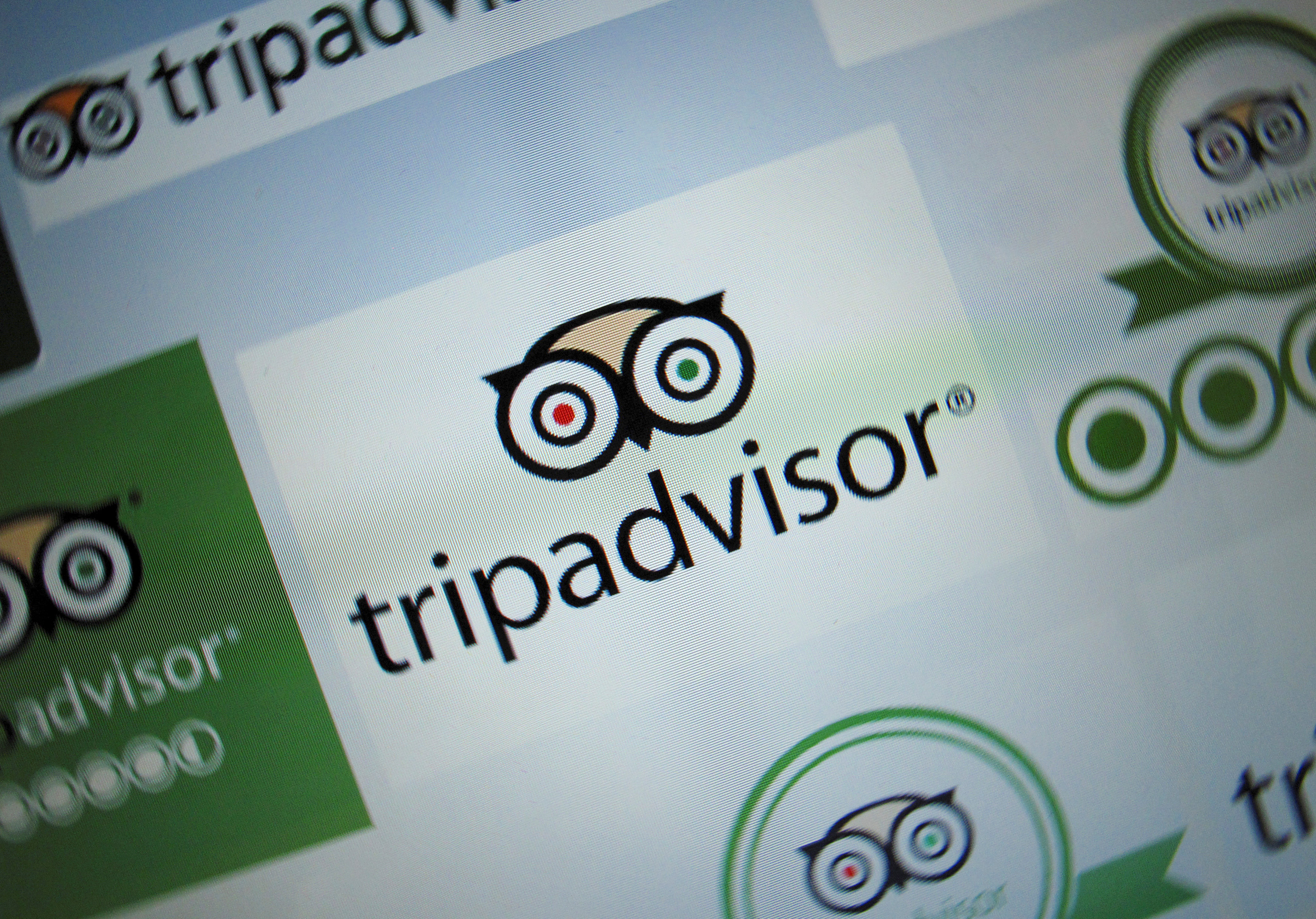 Chased by Google, TripAdvisor trimming jobs - The Boston Globe