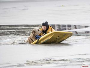 Firefighter Sean Williams pulled the dog from the river.