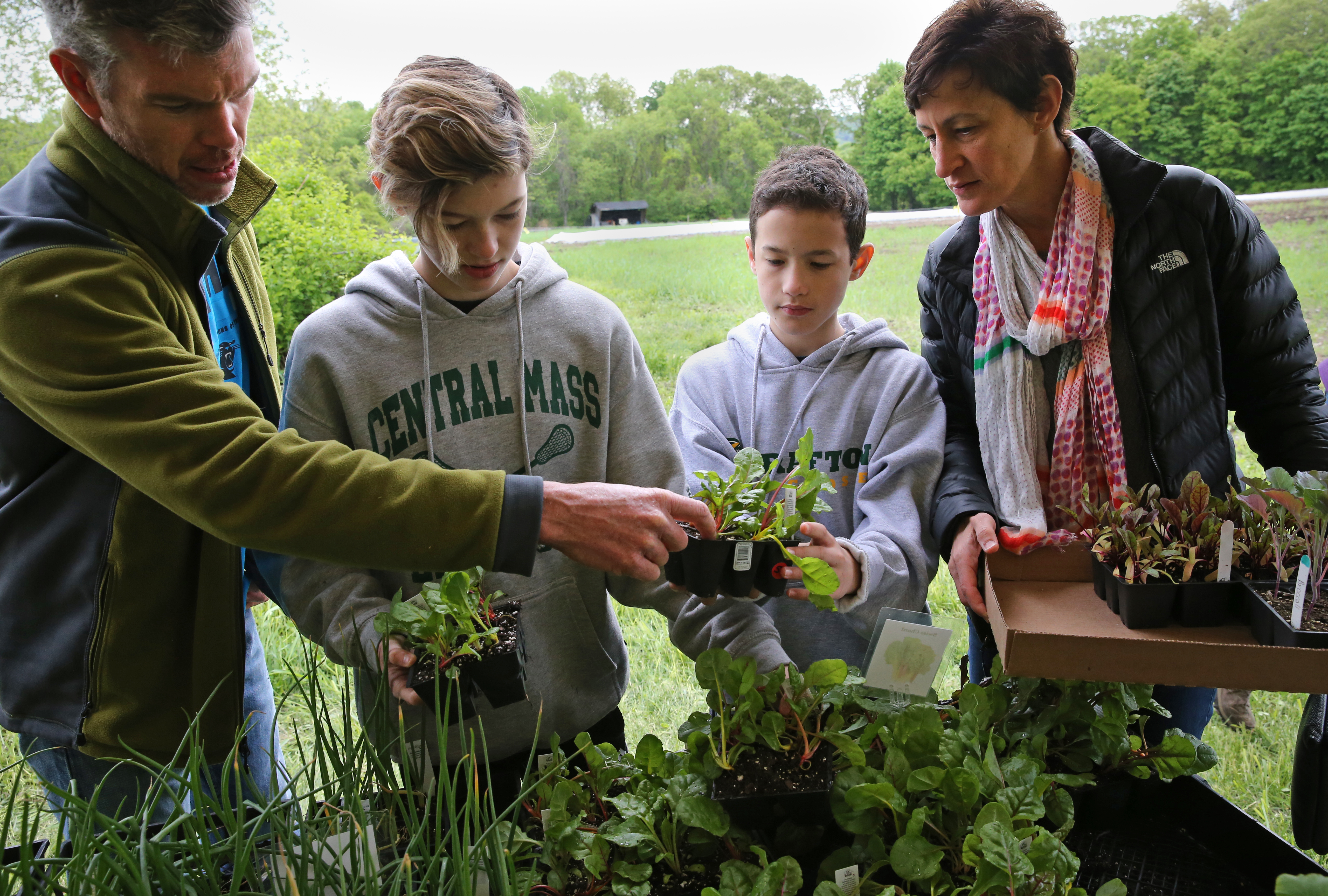 Dean, Emily, Nicholas, and Alysia Valoras shopped for plants during Plantapalooza at Brigham Hill Community Farm in North Grafton. Alexandra had volunteered at the farm.