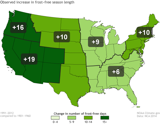 The number of frost free days is growing. This is giving more time for pollen production.
