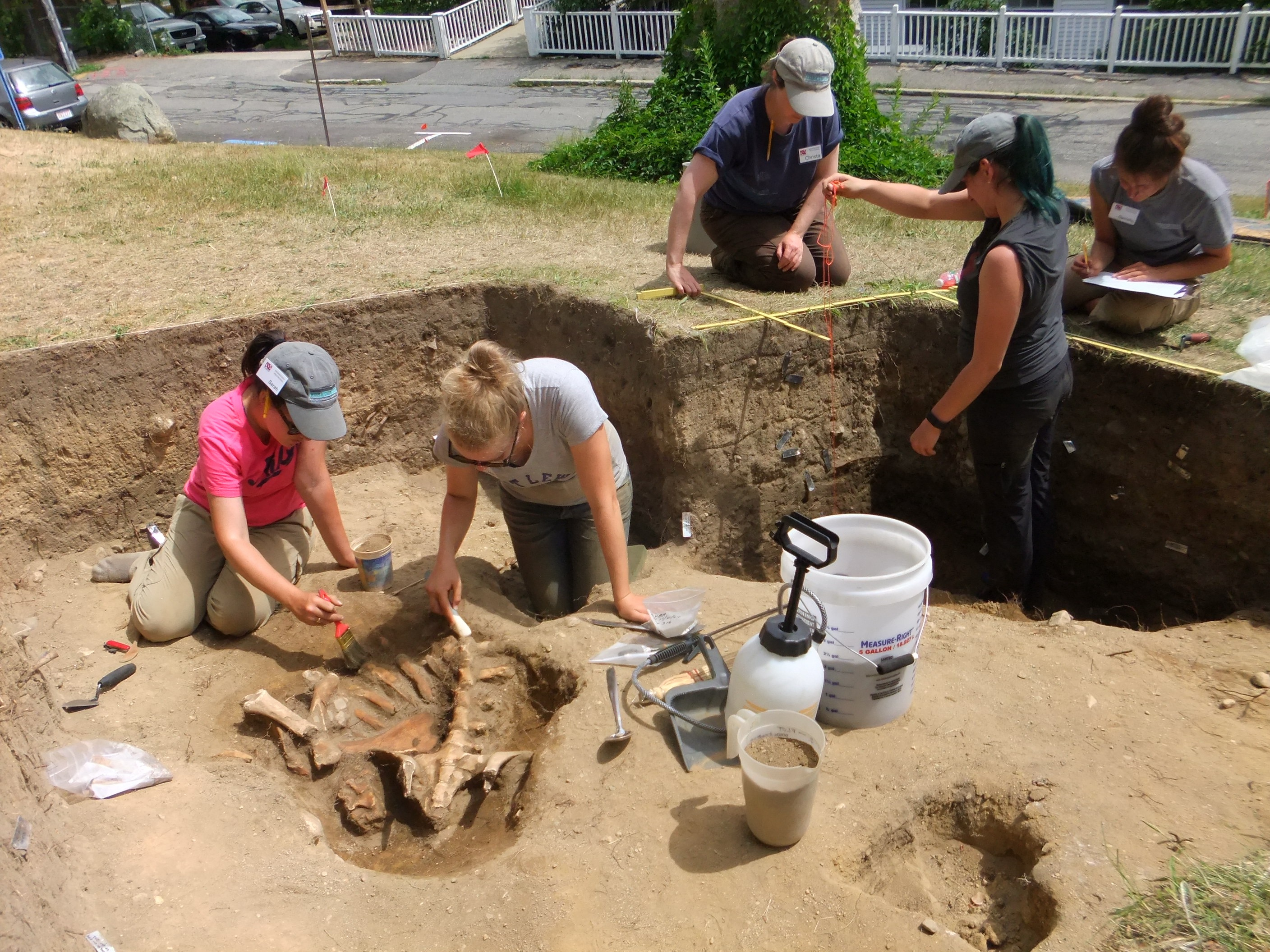 Archeologists and students were meticulous in their efforts to recover artifacts.