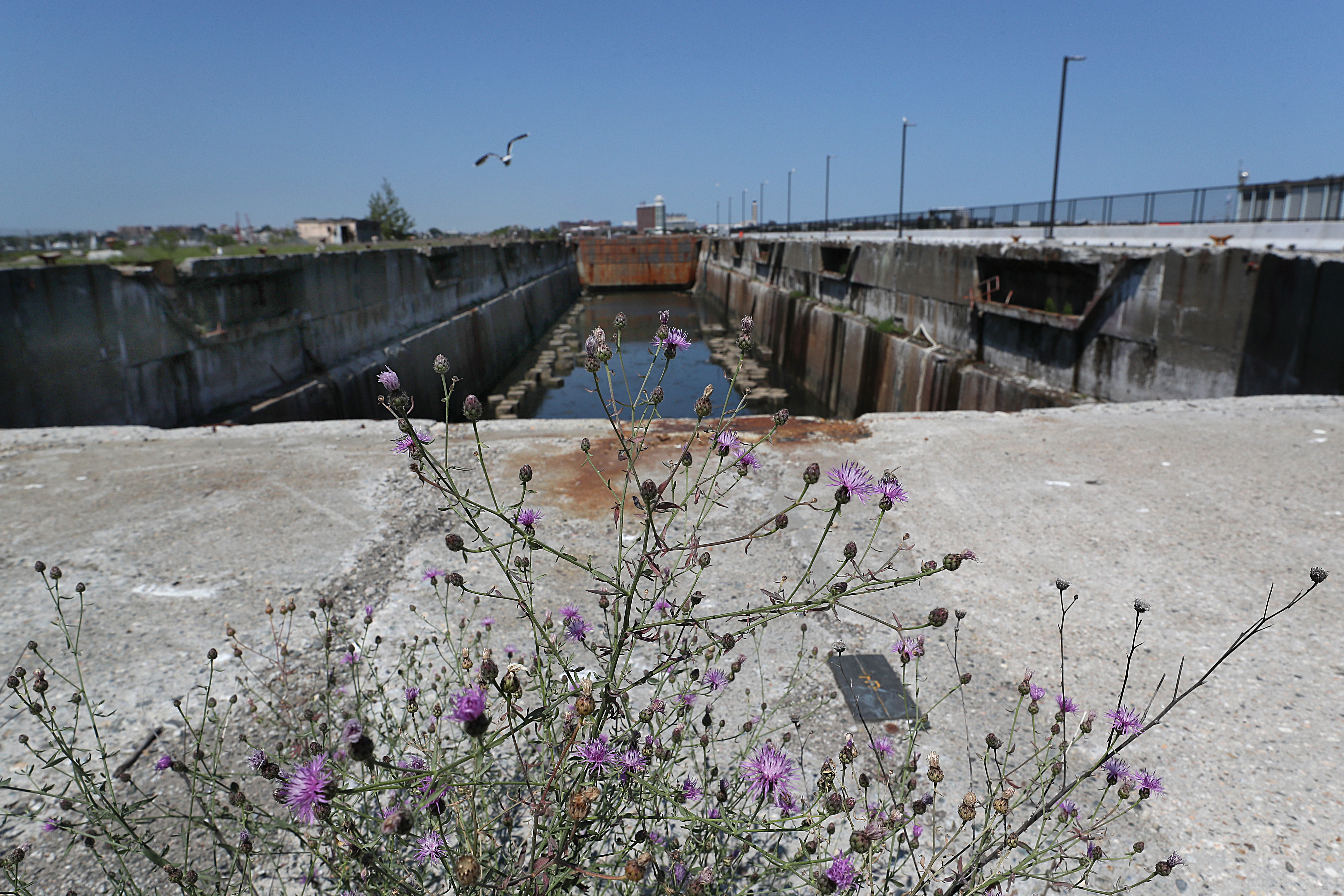 This dry dock has been shuttered for four decades.