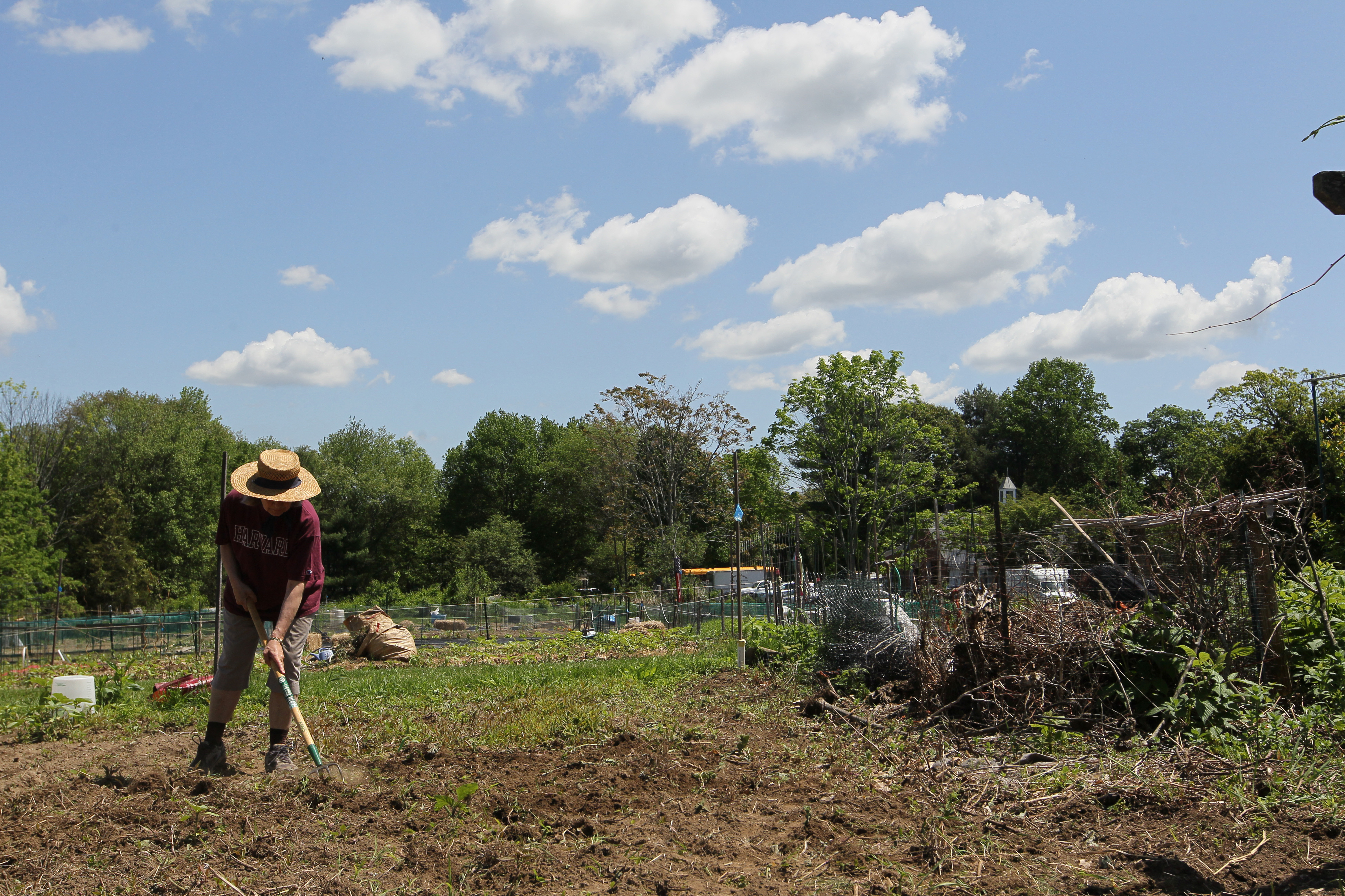 Codman Farm Community Garden.