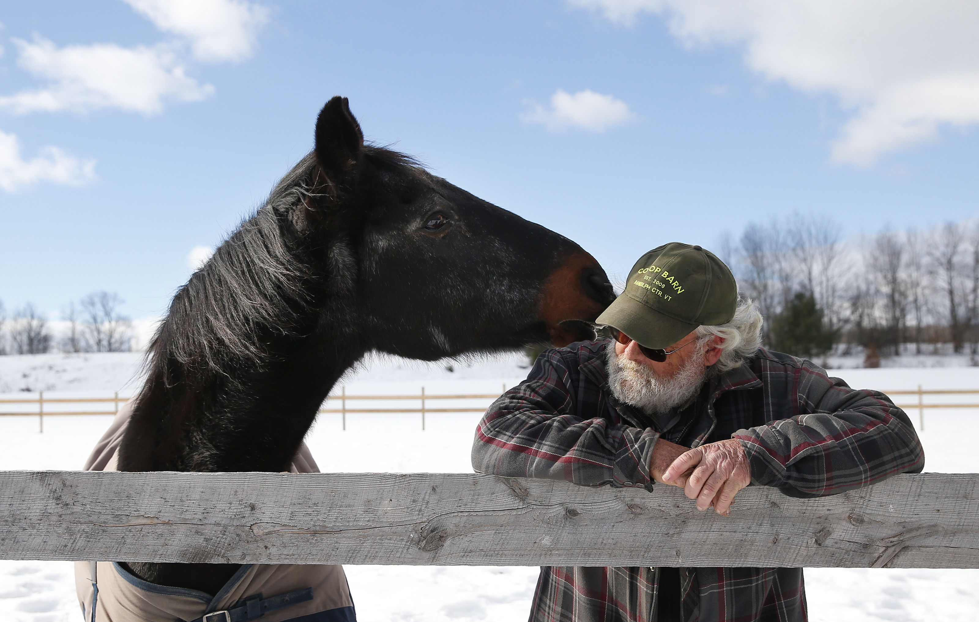 A horse and his caretaker form an enduring bond The Boston Globe