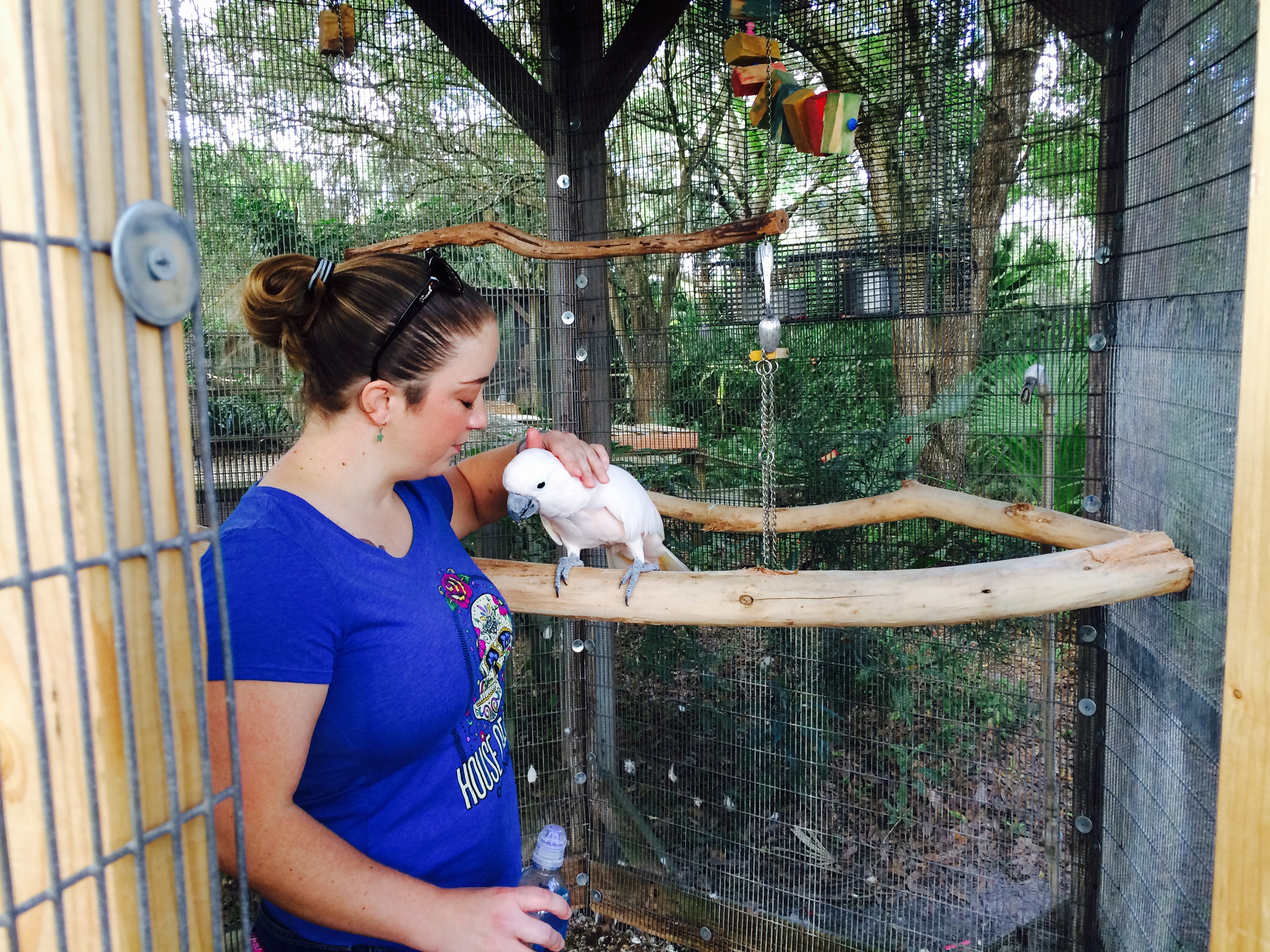 Stephanie Stowell of Fort Myers pets a cockatoo.