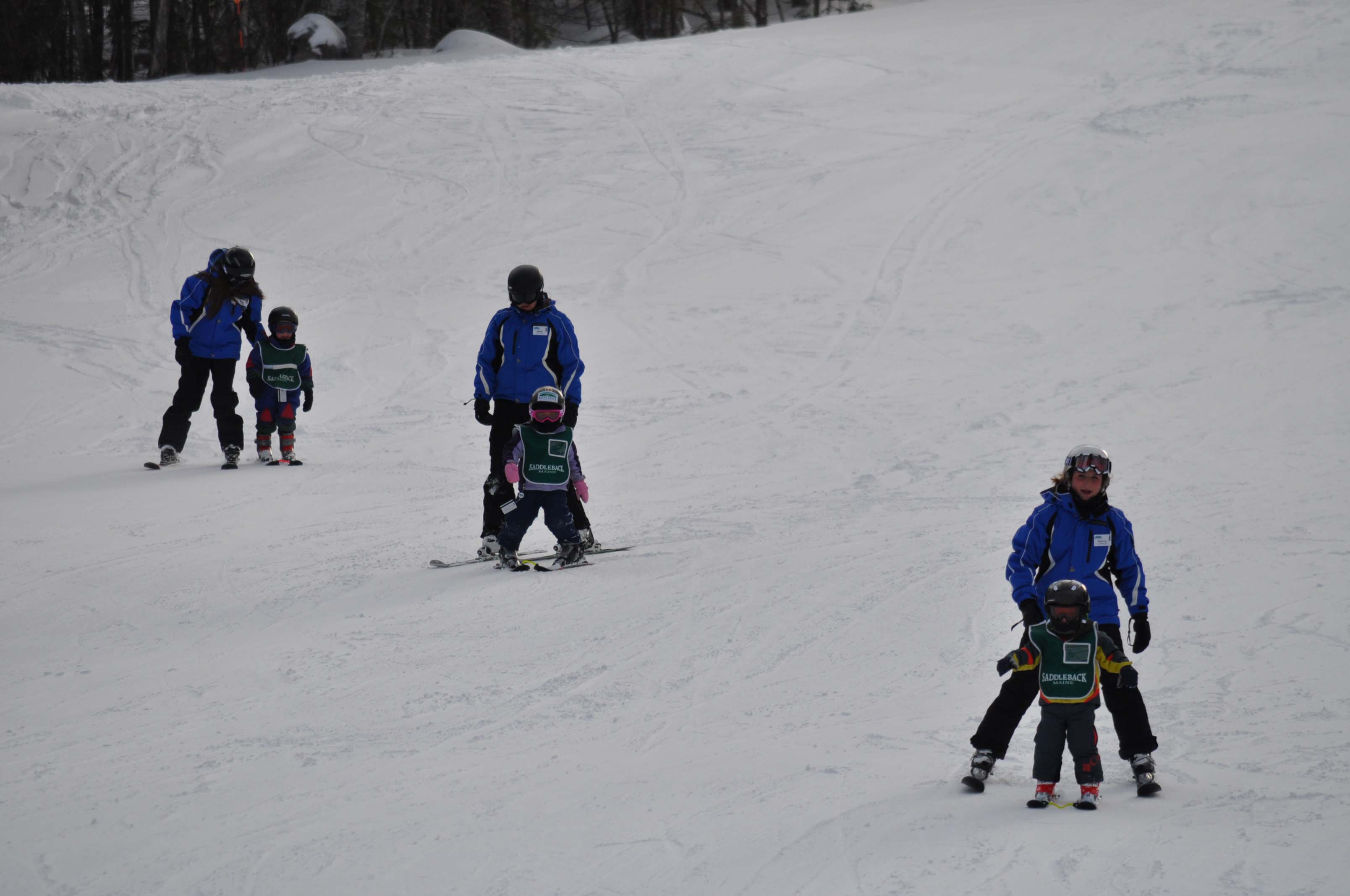 View of one of Saddleback's half-mile trails on their beginner area.