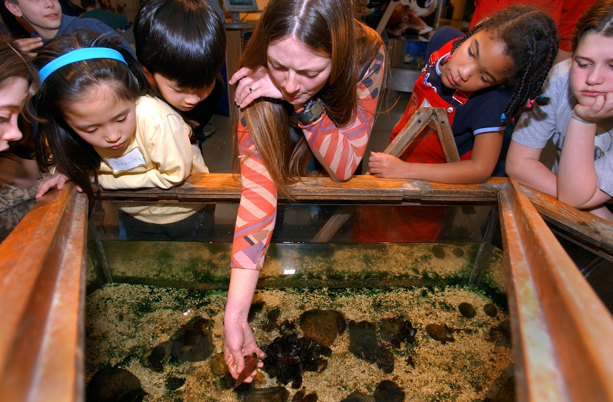 You can have a hands-on experience at the EcoTarium in Worcester.