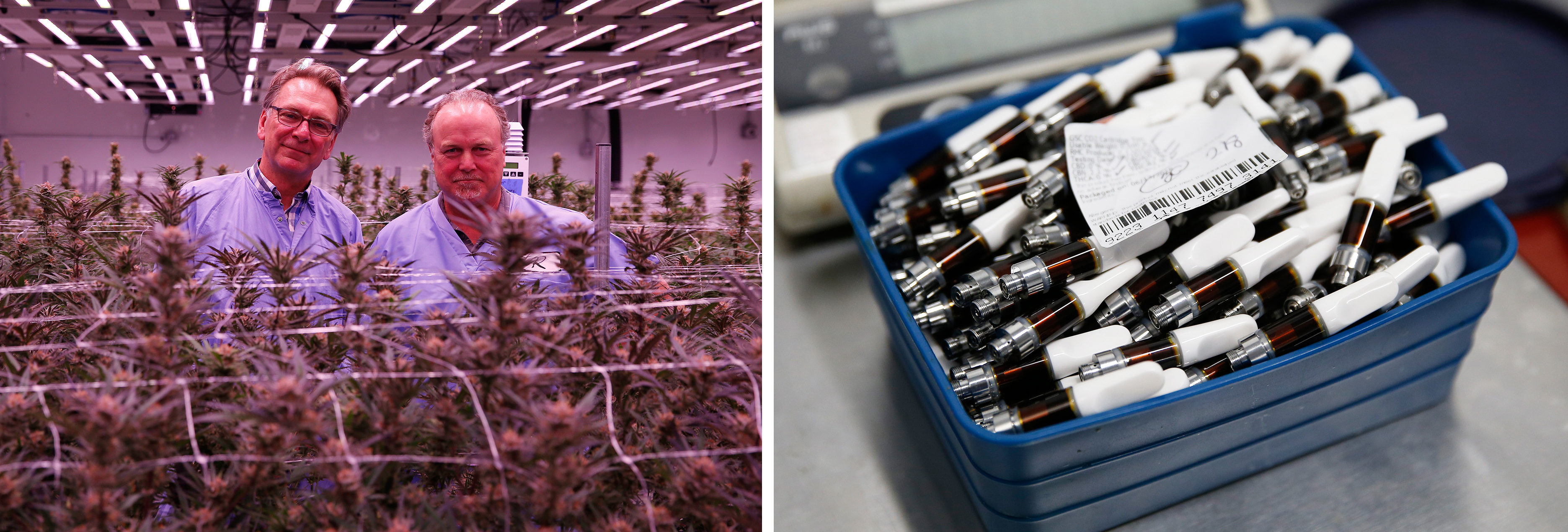 Revolutionary Clinics CMO Tom Schneider and CEO Keith Cooper (left) and vape cartridges filled with marijuana distillate.