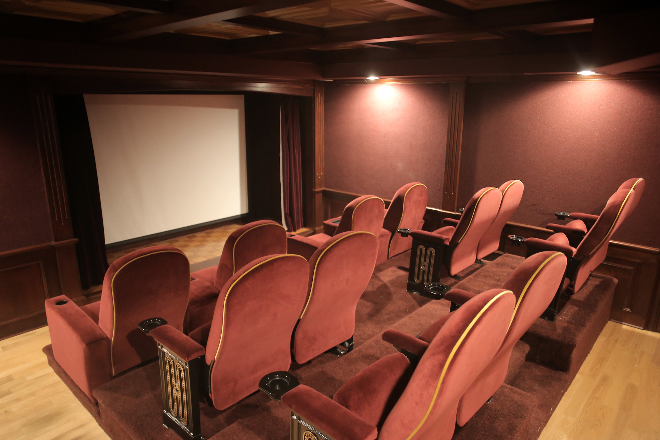 The 12-seat home theater.