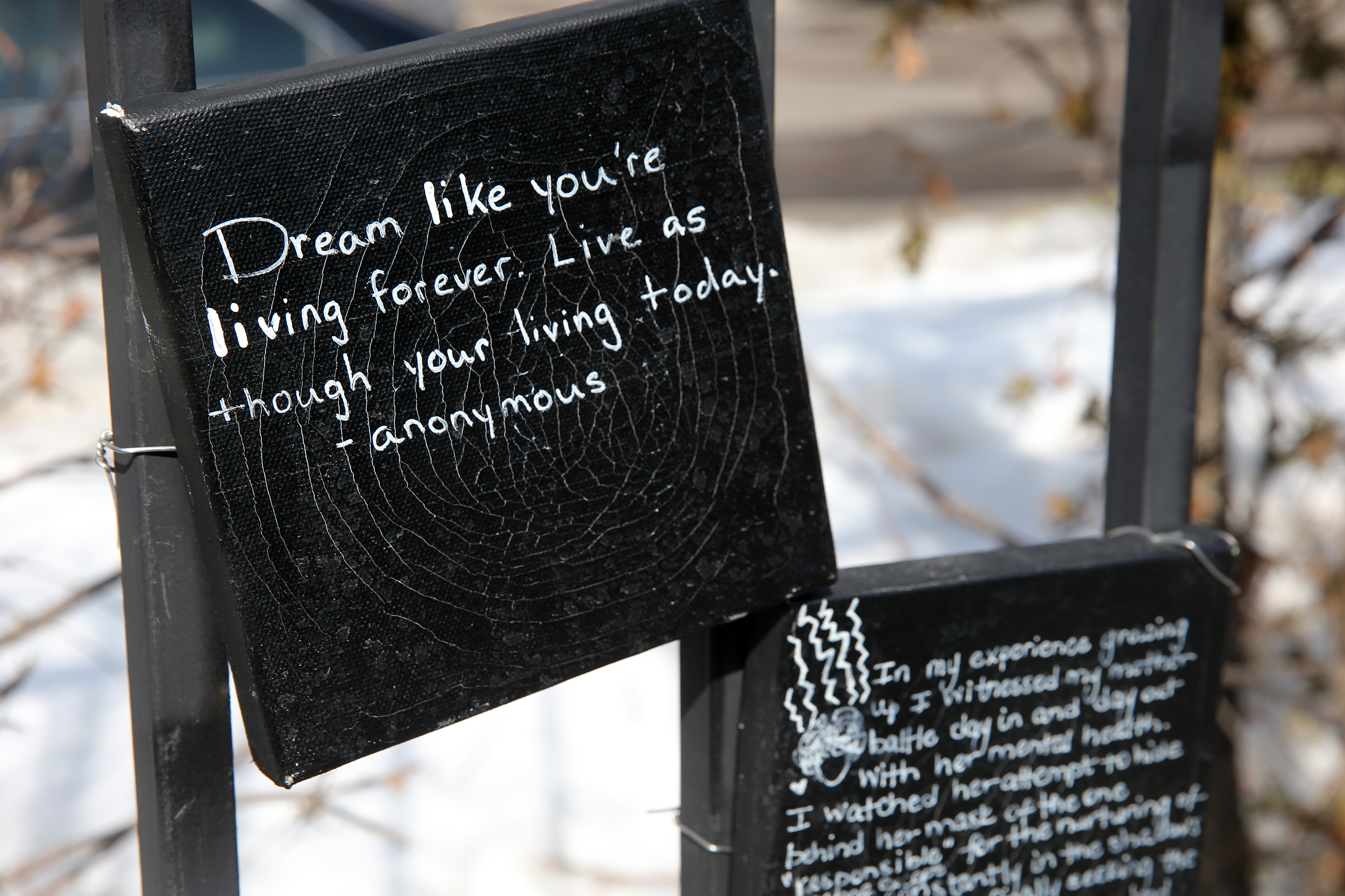 Small prints on a fence in Dudley Square.