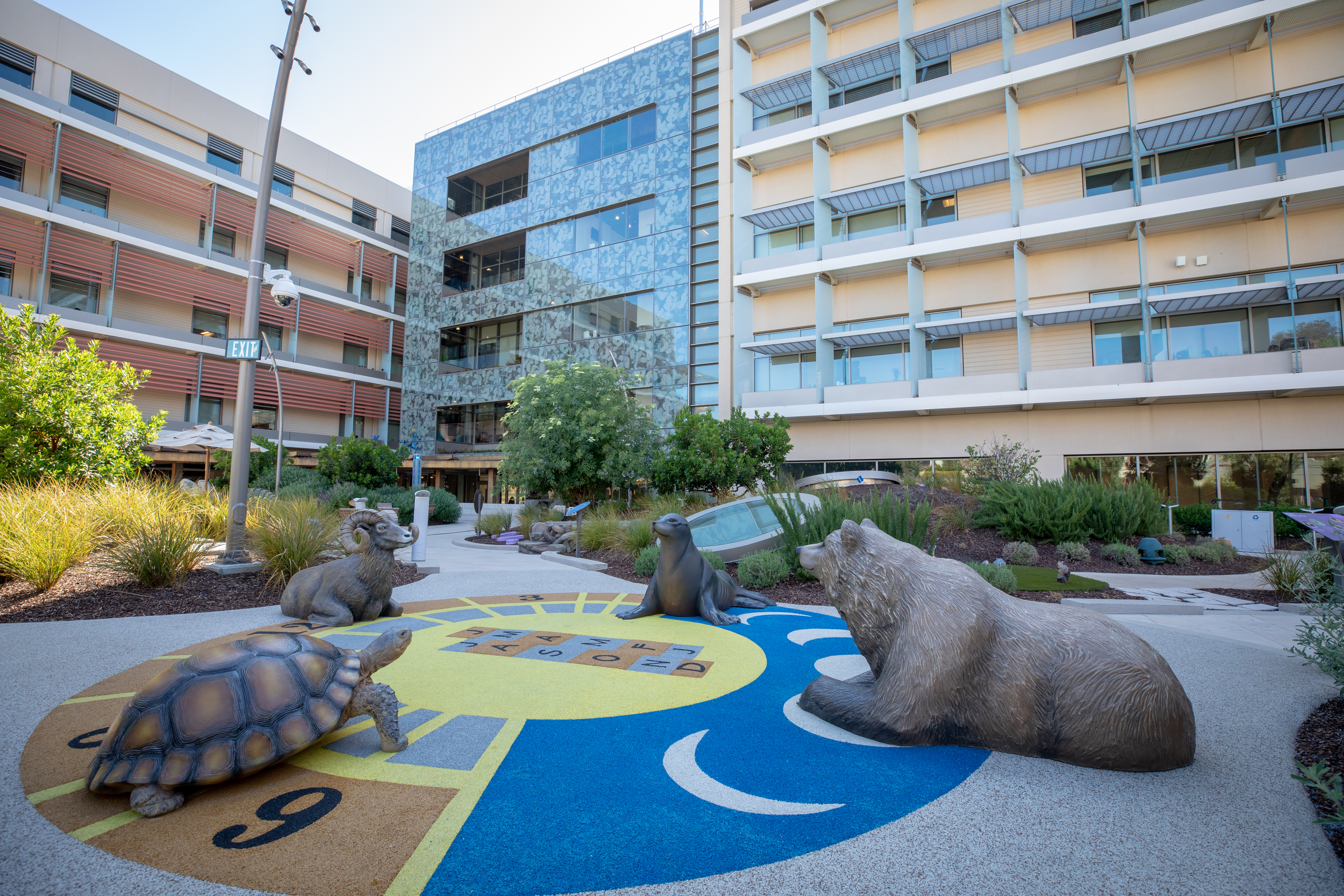 In California, a glimpse at the future of elite children's hospitals