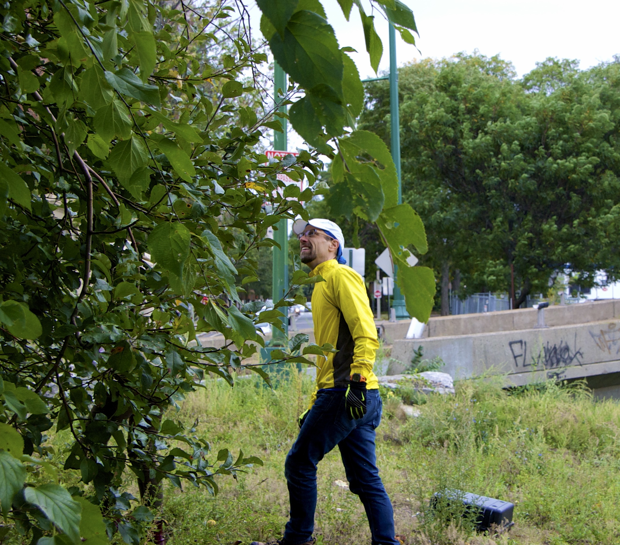 Wellesley geoscience professor Dan Brabander leads his students checking for contaminants in the fruit.
