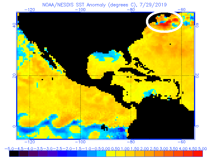 The Gulf of Maine is the fastest warming body of water in the world!