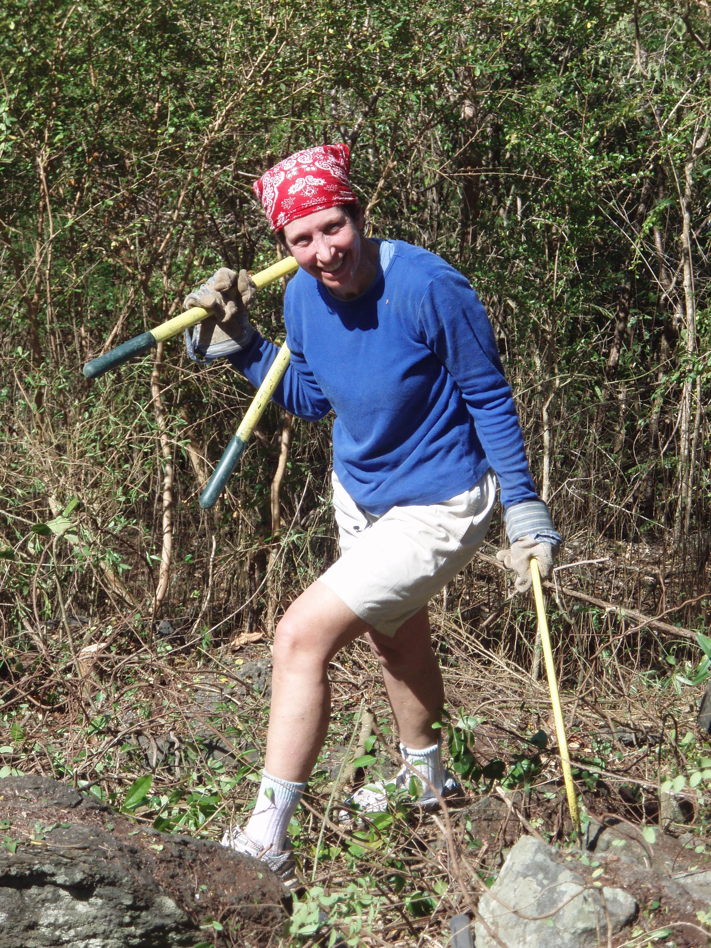 Guests at Westin St. John Resort & Villas who volunteer to maintain trails and ruins receive a $100 resort credit through Feb. 15.