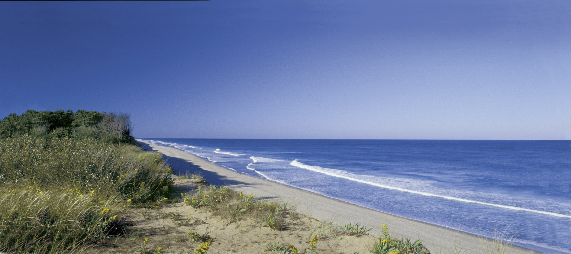 Coast Guard Beach.