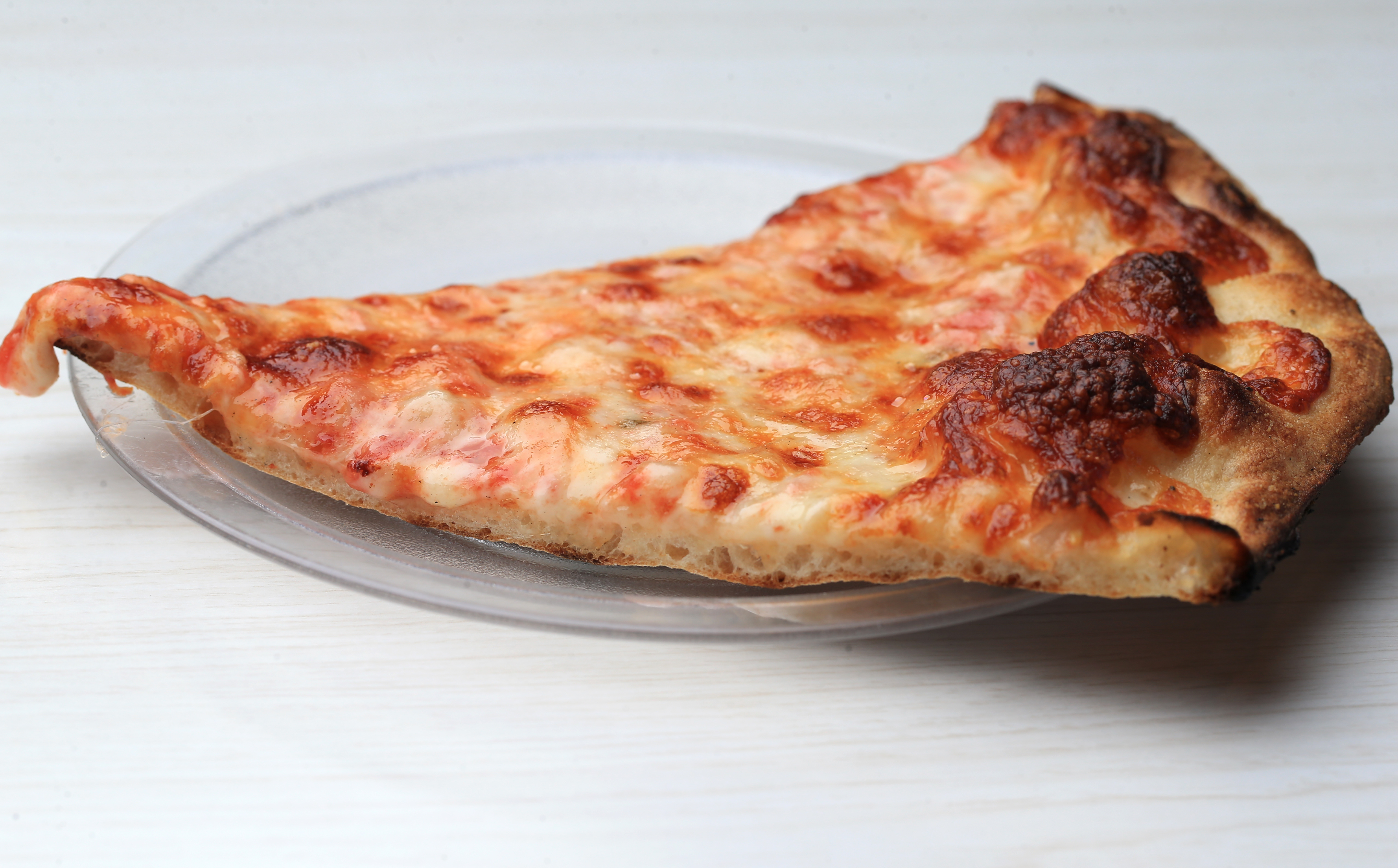 Cheese pizza from Frank Pepe Pizzeria Napoletana in Chestnut Hill.