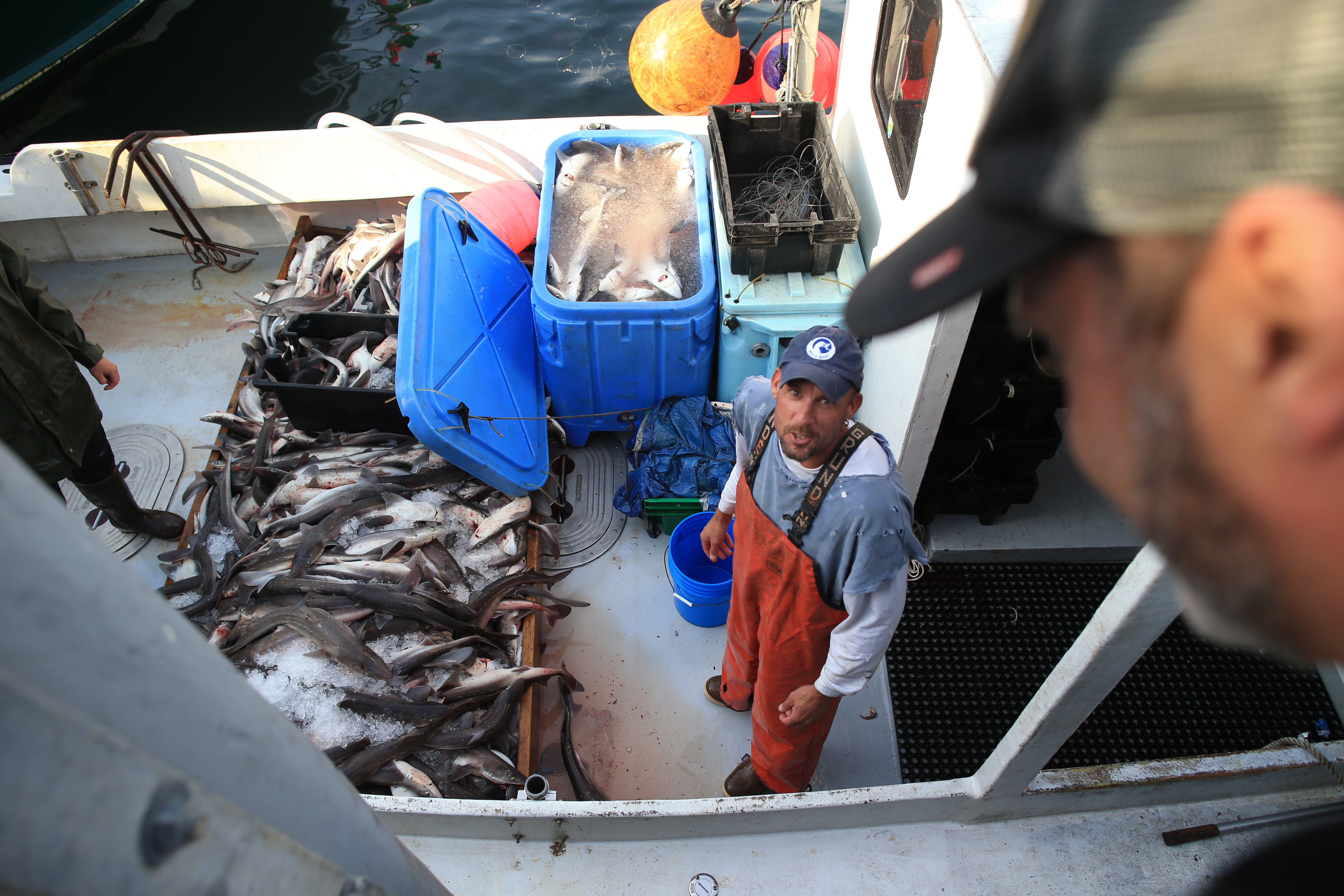 Fisherman Doug Feeney (left, with restaurateur Steve DeLeonardis) brought his catch to the Chatham Fish Pier.