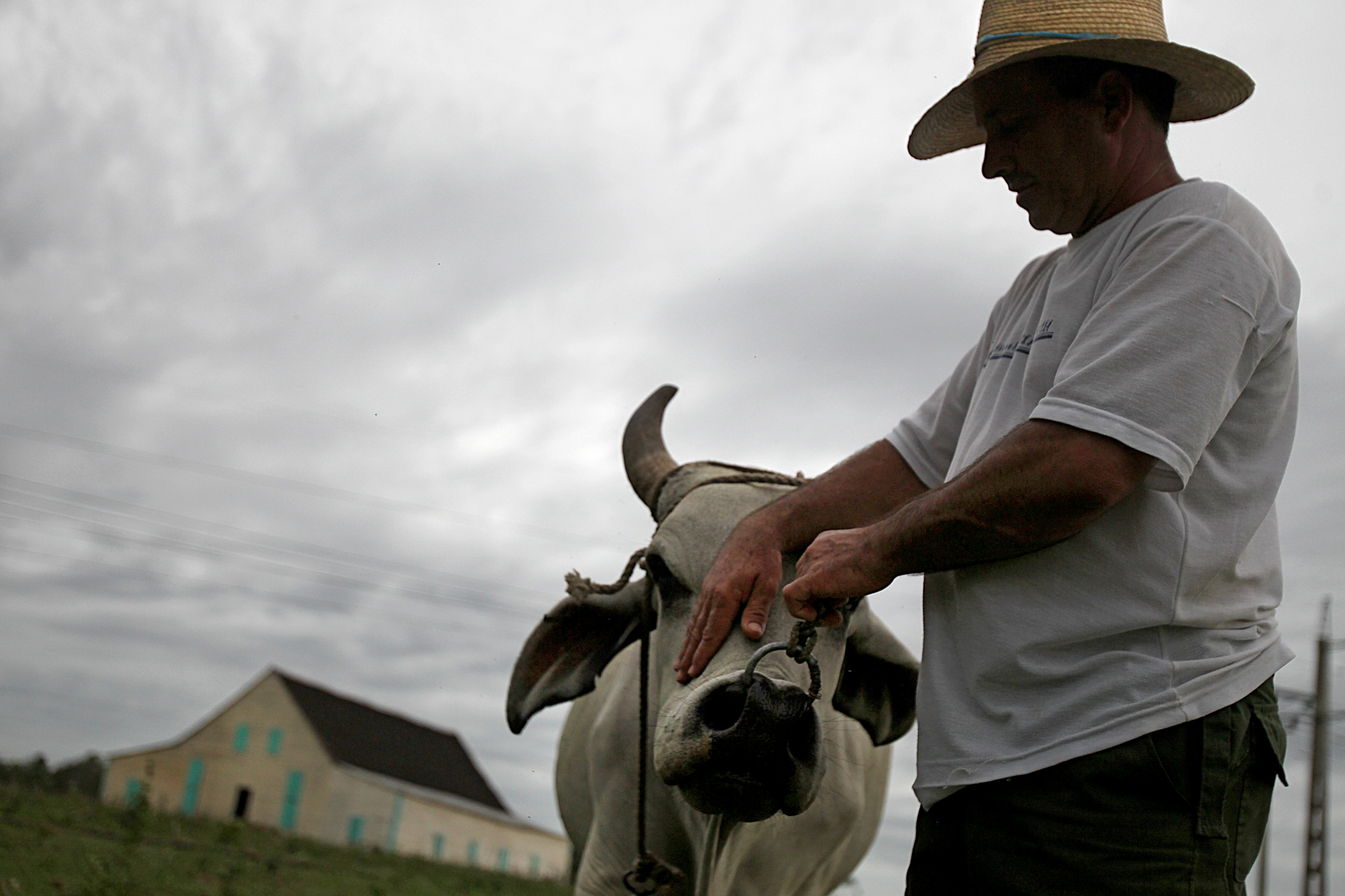 At the Martinez family’s small tobacco farm in Pínar del Rio, a full tour includes a cup of coffee and a Habano cigar.