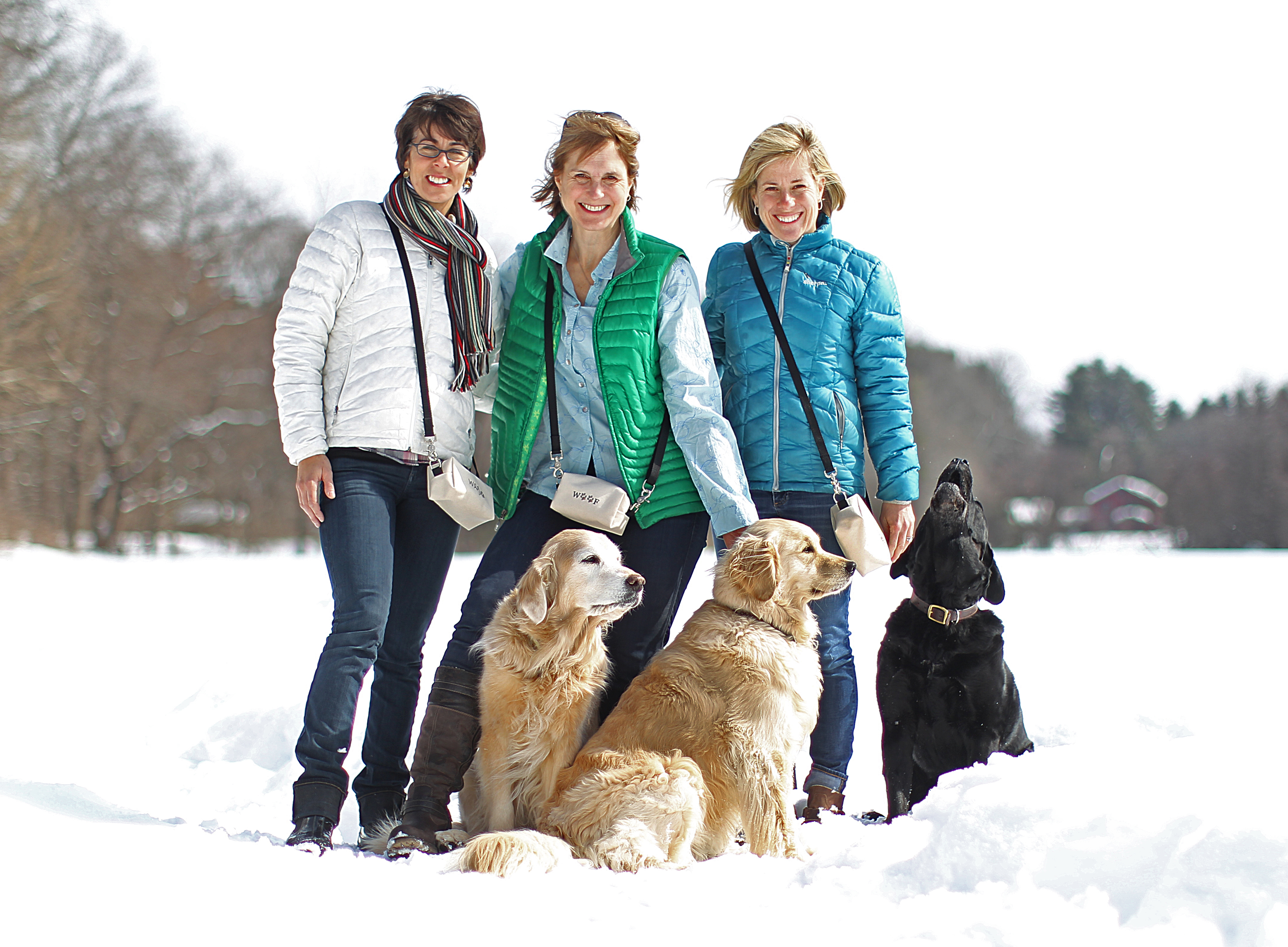 Concord residents (from left) Paula Lublin, Mimi Rutledge, and Tina Labadini model their company’s Doggy Ditty bags.